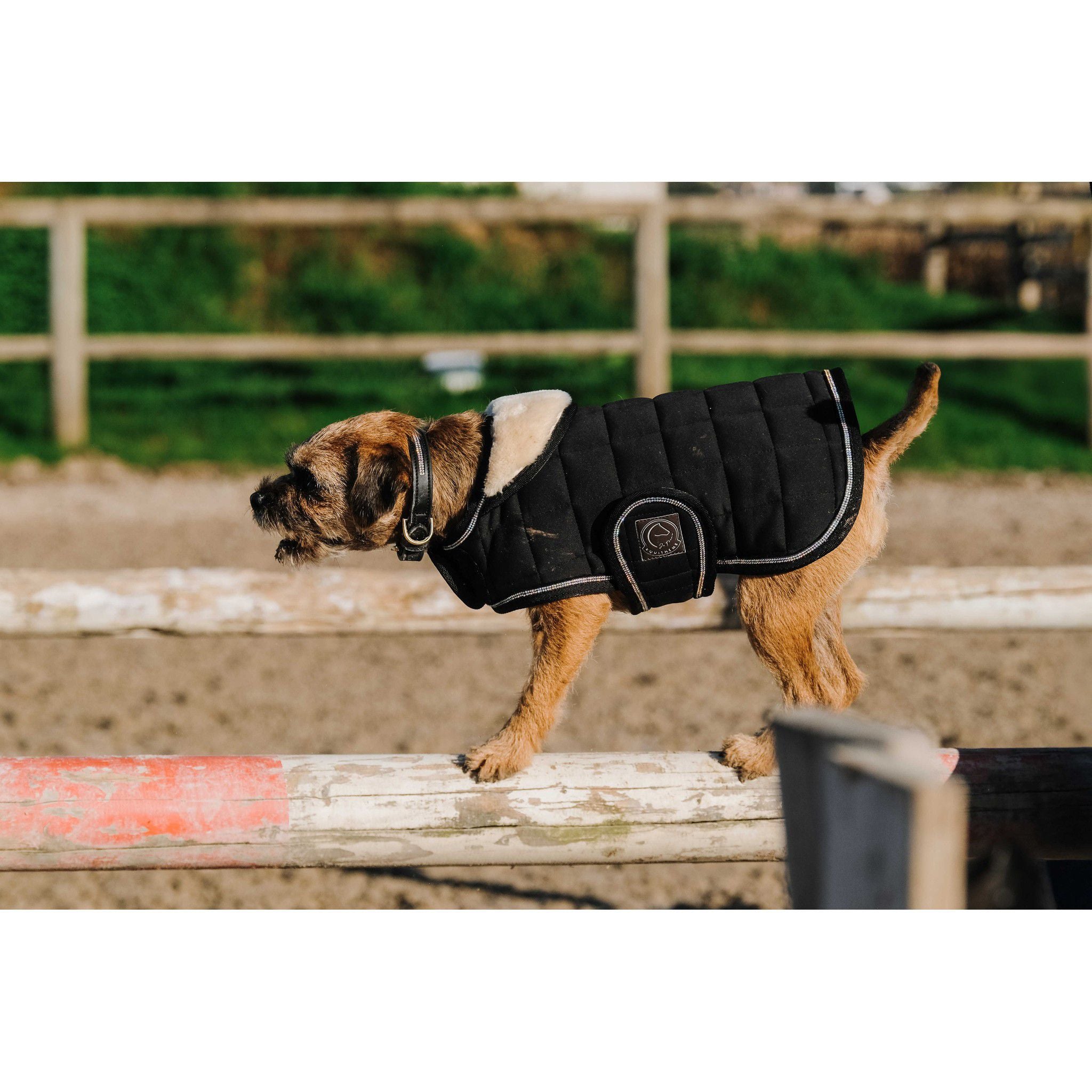 Je t'aime EQUITHÈME Velours dog rug Black 409037240