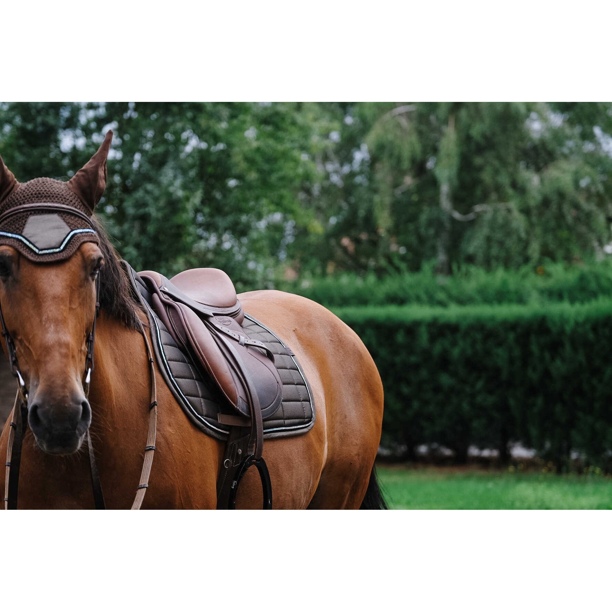 EQUITHÈME Domino All-Purpose Saddle Pad Coppery - 204782005_ambi_5