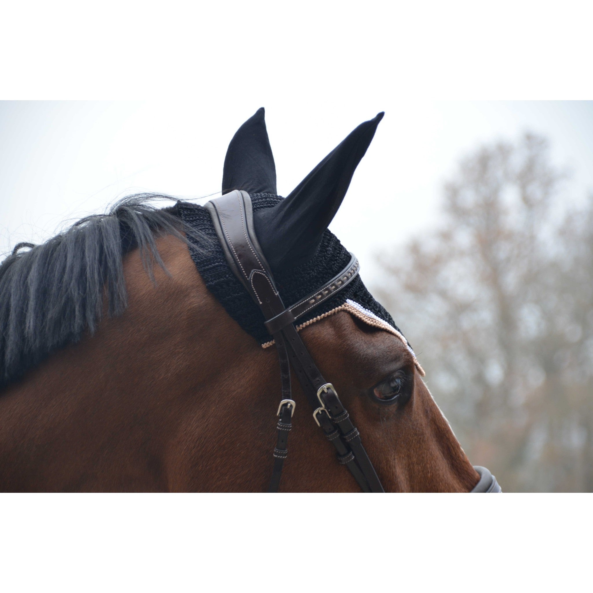 Paddock Sports Origine Fly Veil Black - 306988002_ambi_5