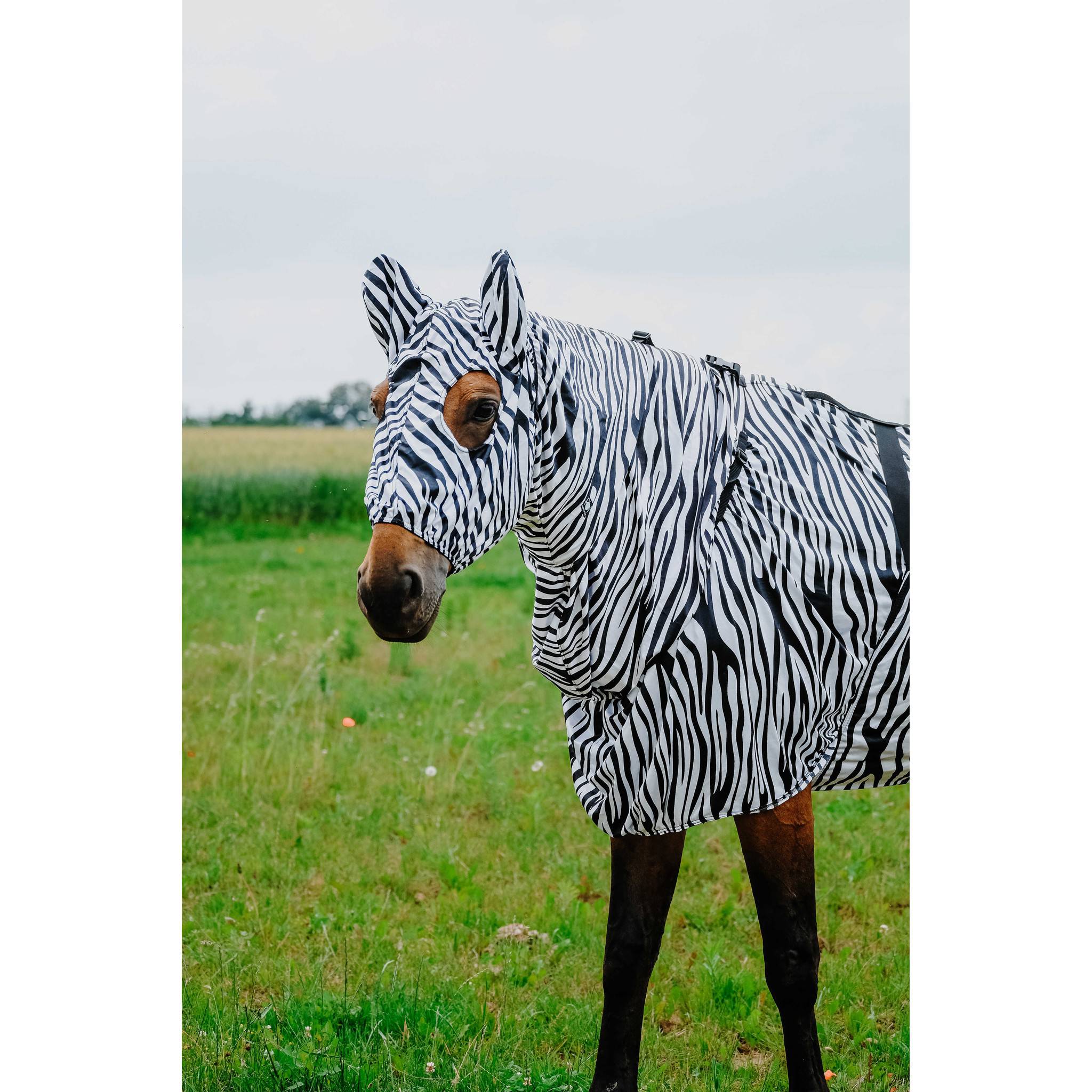 Riding World Anti-eczema Fly Mask Zebra 400122203