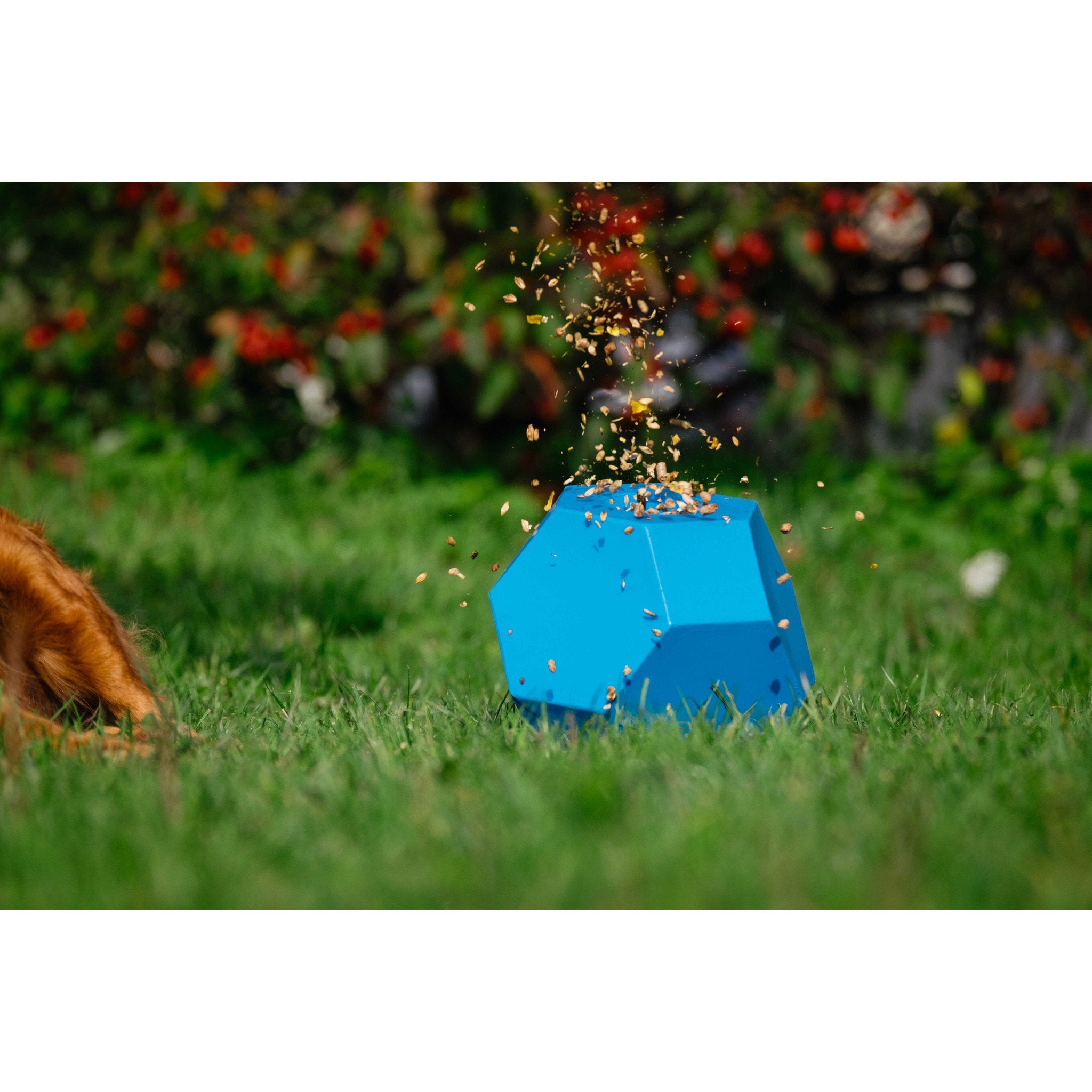 Hippo-Tonic Slow Feeder Play Ball Blue 900116006