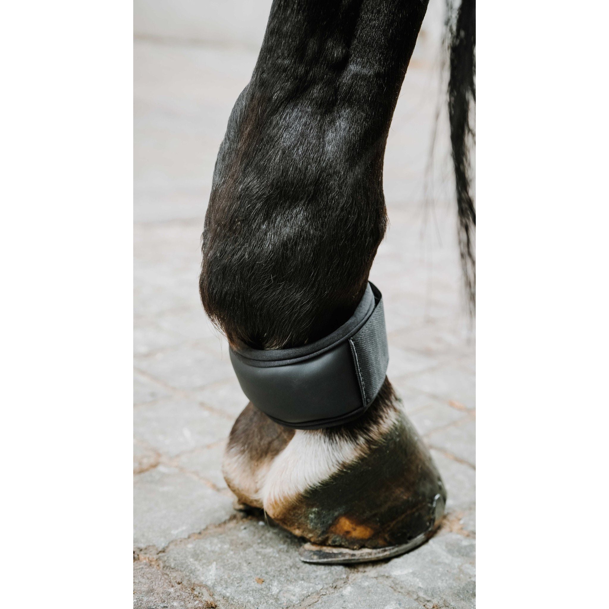 Norton XTR Gel Pastern Guard Black 545999002
