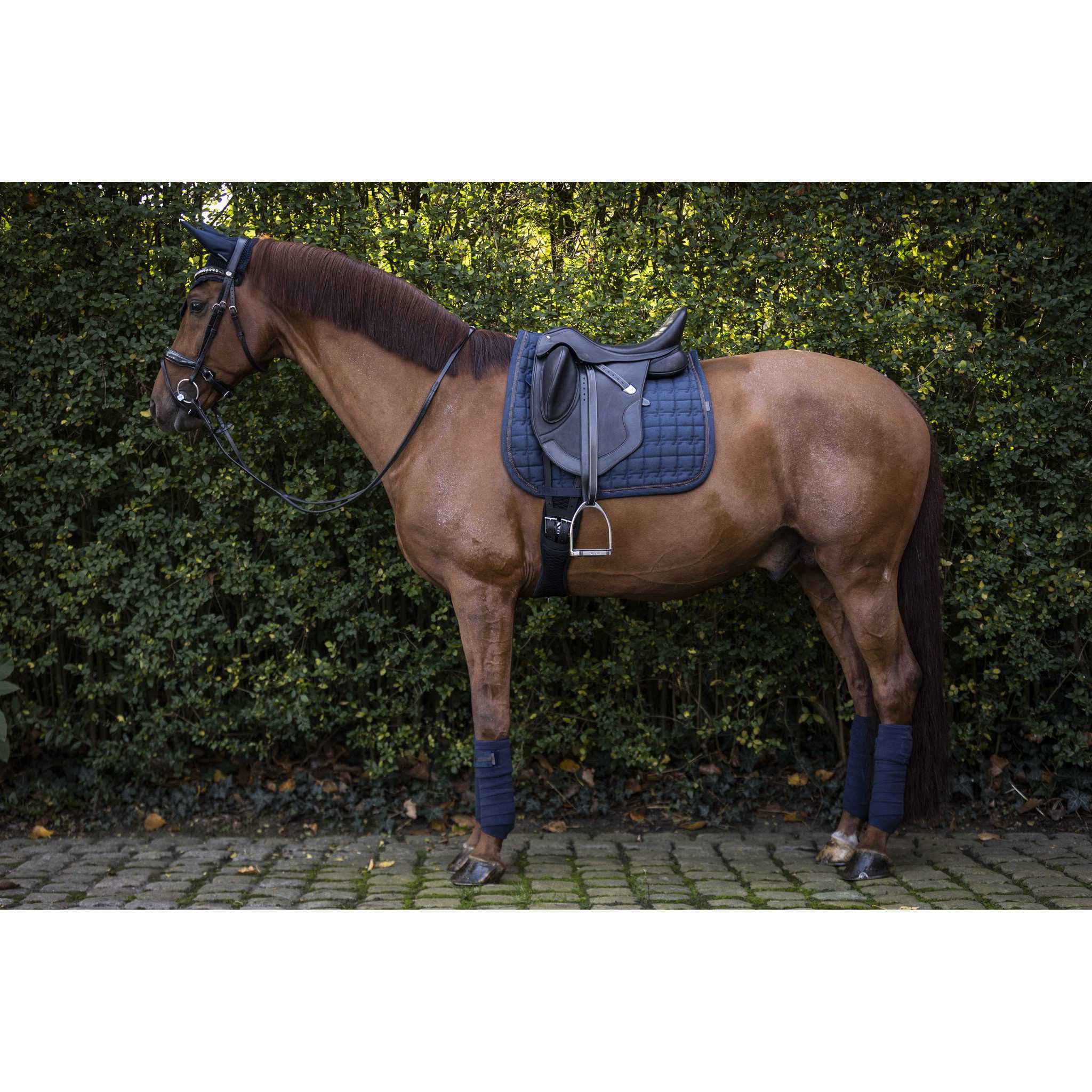 Lami-Cell Vintage Polo Bandages Navy blue 541025007