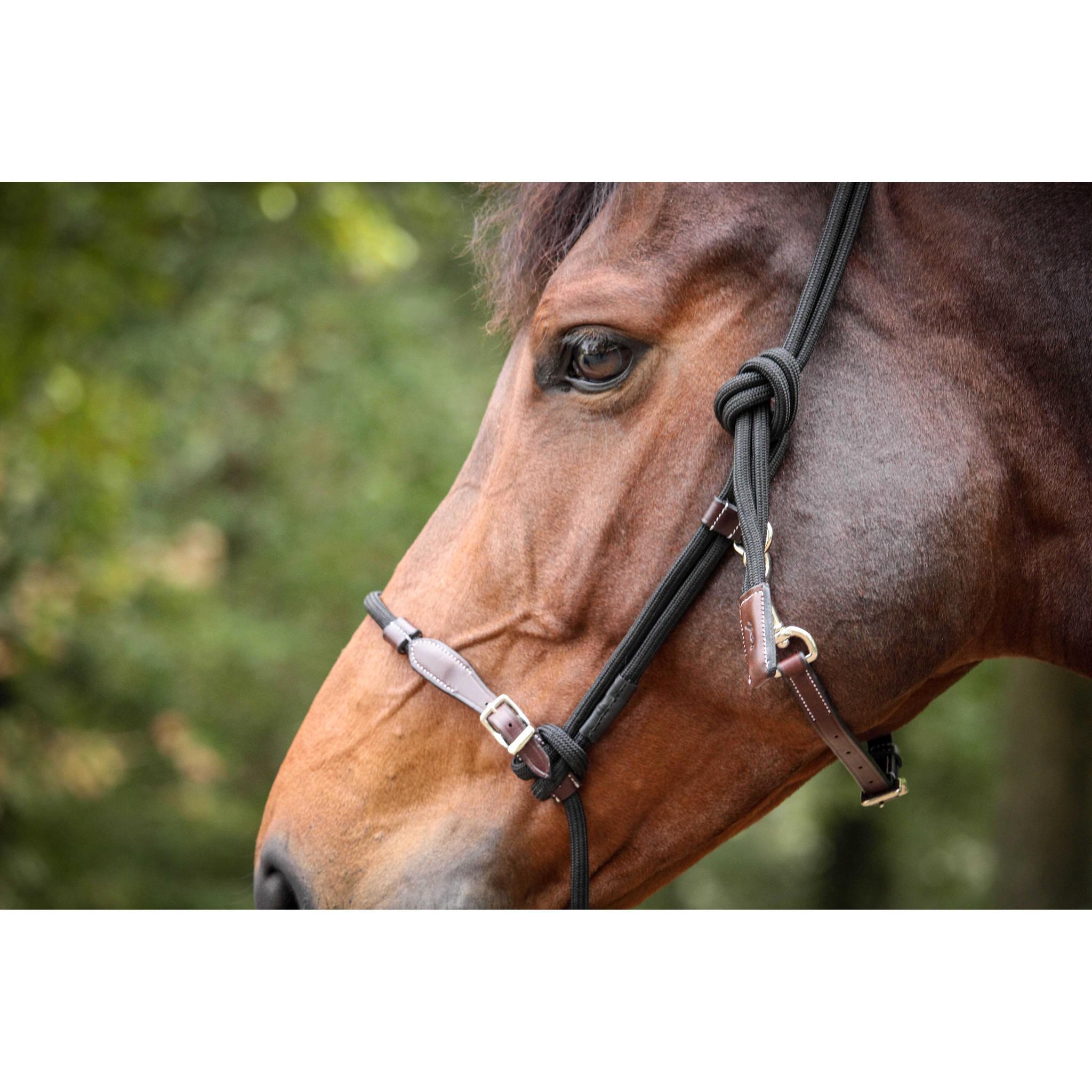 Pénélope Rope halter Black 510315302