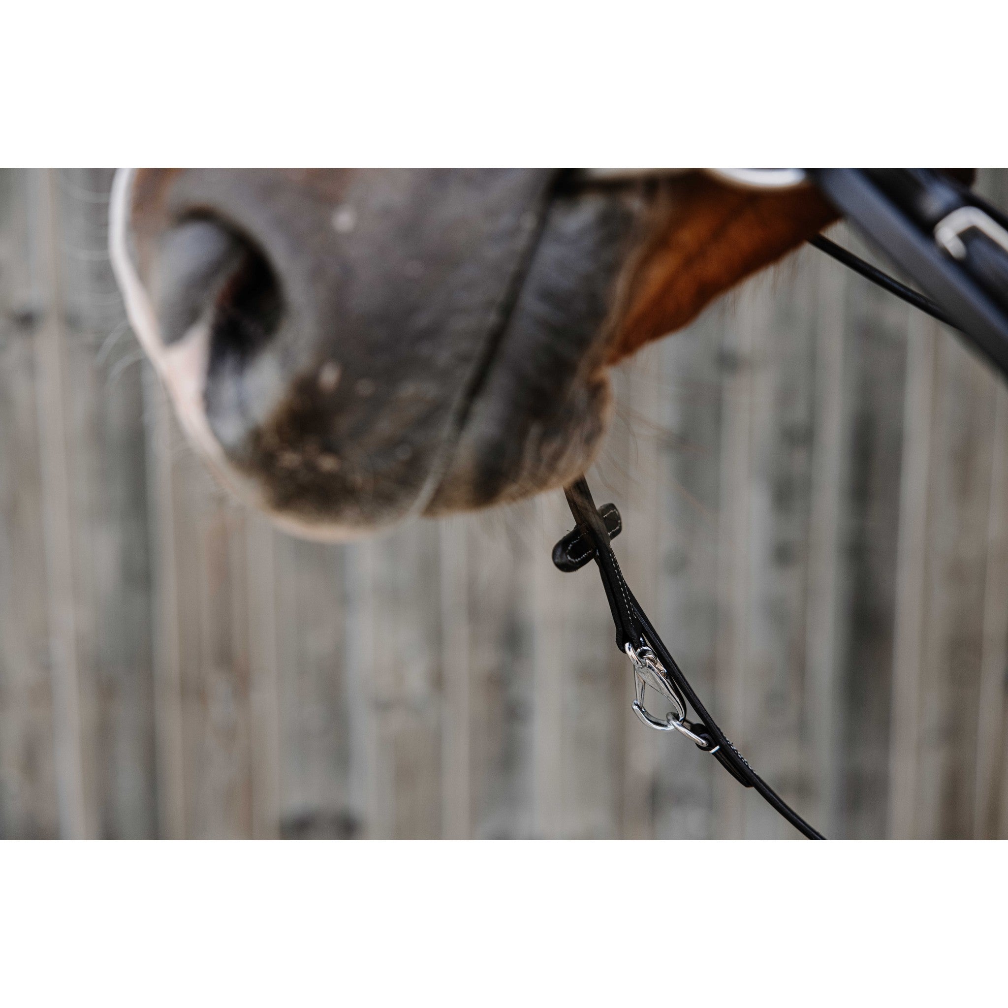 Norton Pro Thiedeman side reins Black 306426102