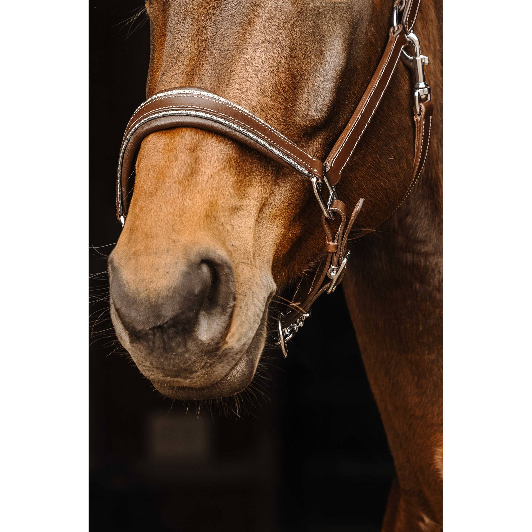 Norton Rock Halter Havana 510308318