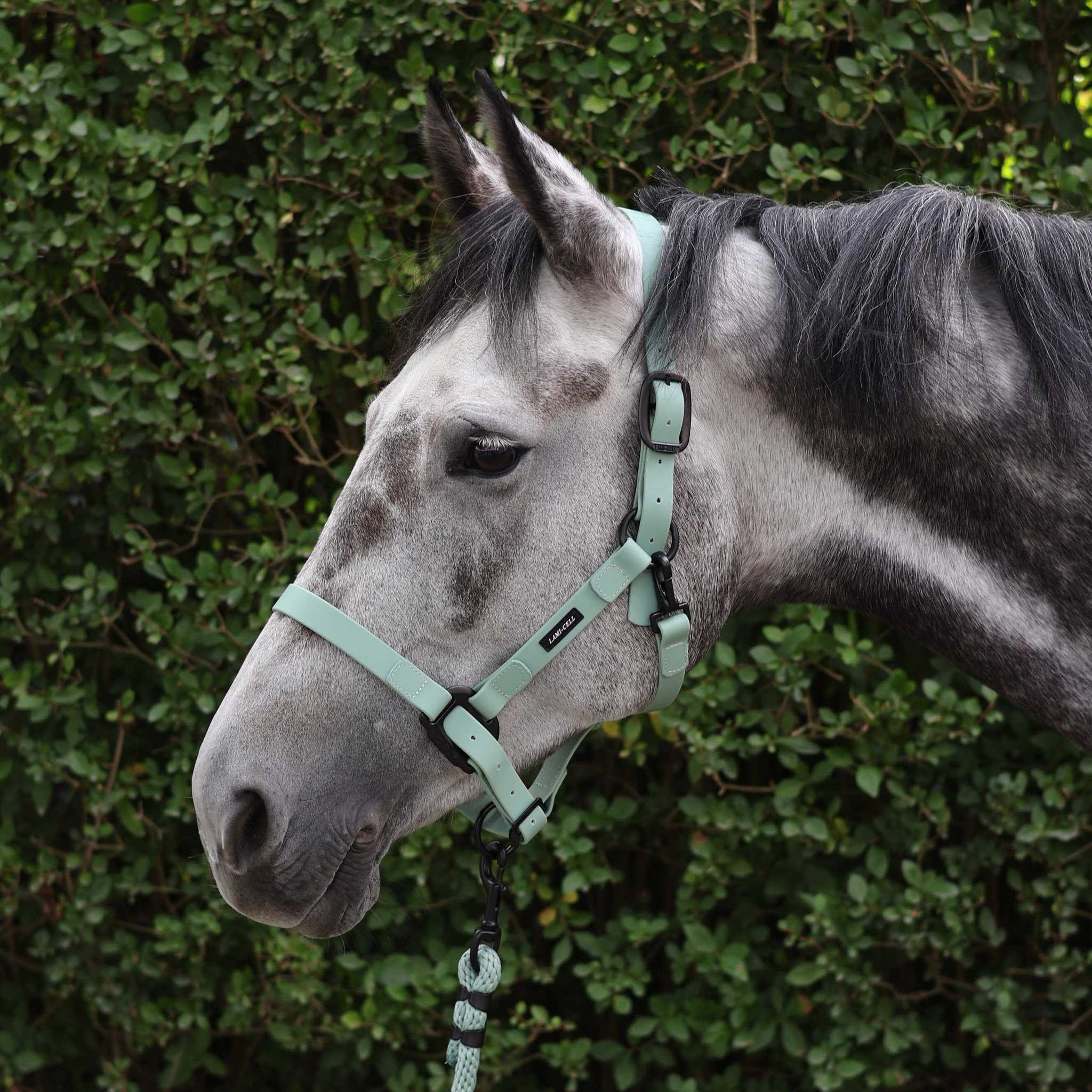 Lami-Cell Midnight Tie Lead Olive - 555028018_ambi_1