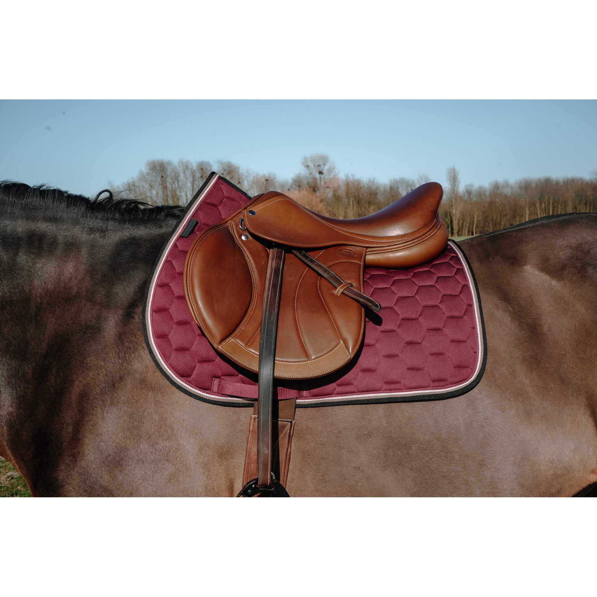 EQUITHÈME All-Purpose Saddle Pad - Coco Burgundy - 204913033_ambi_1