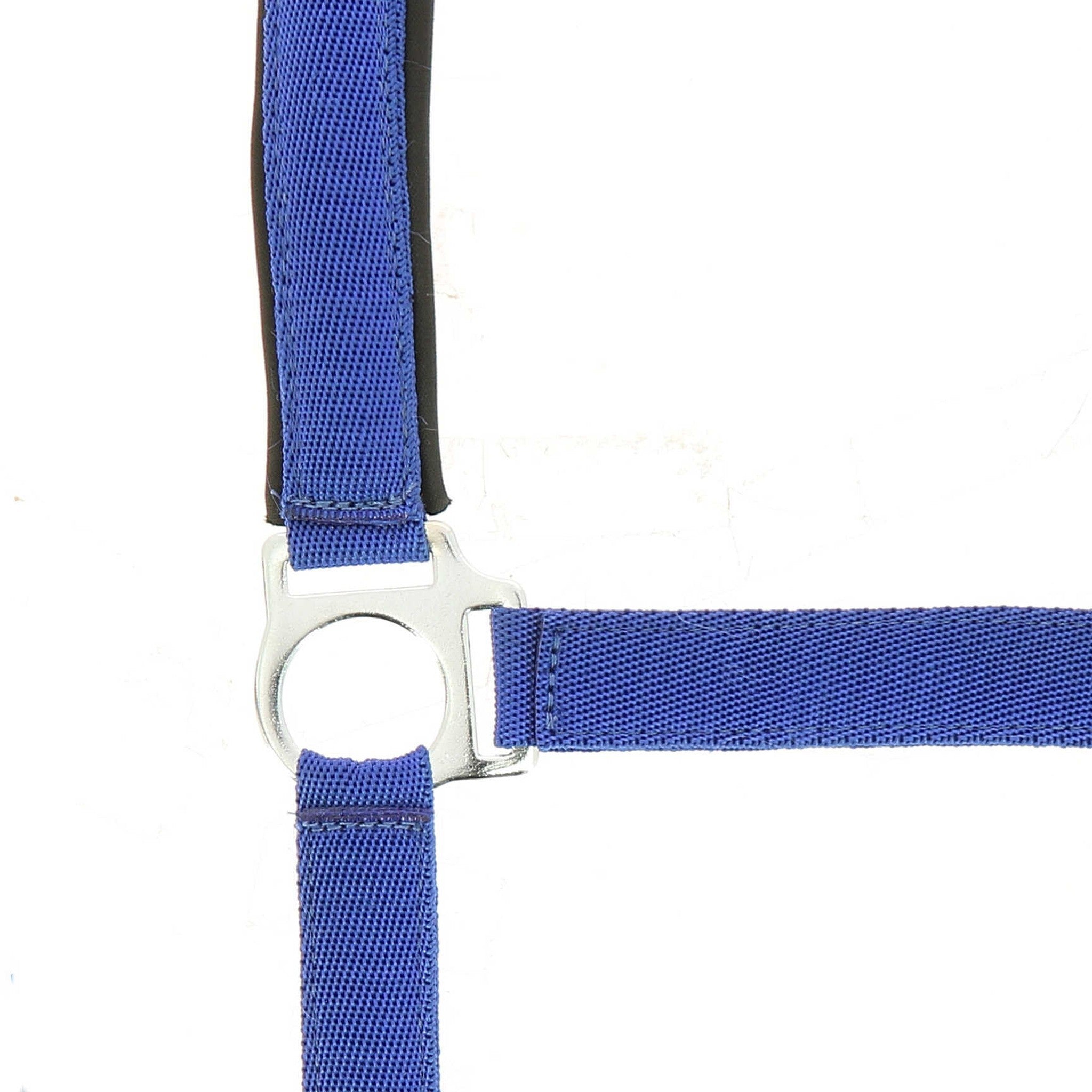 Norton nylon and neoprene lined Halter Royal blue 510494306