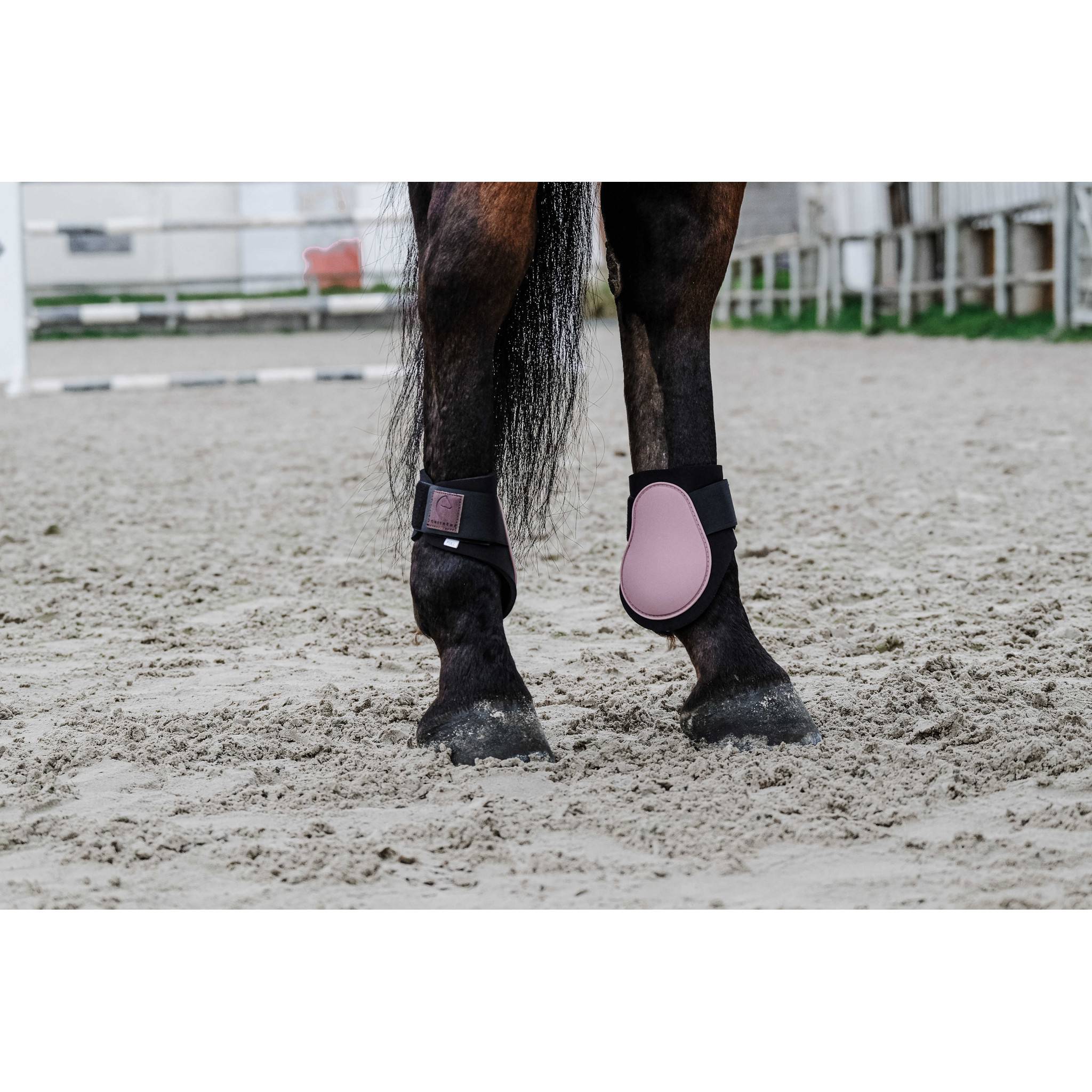 EQUITHÈME Tara Fetlock boots Pink 530817313