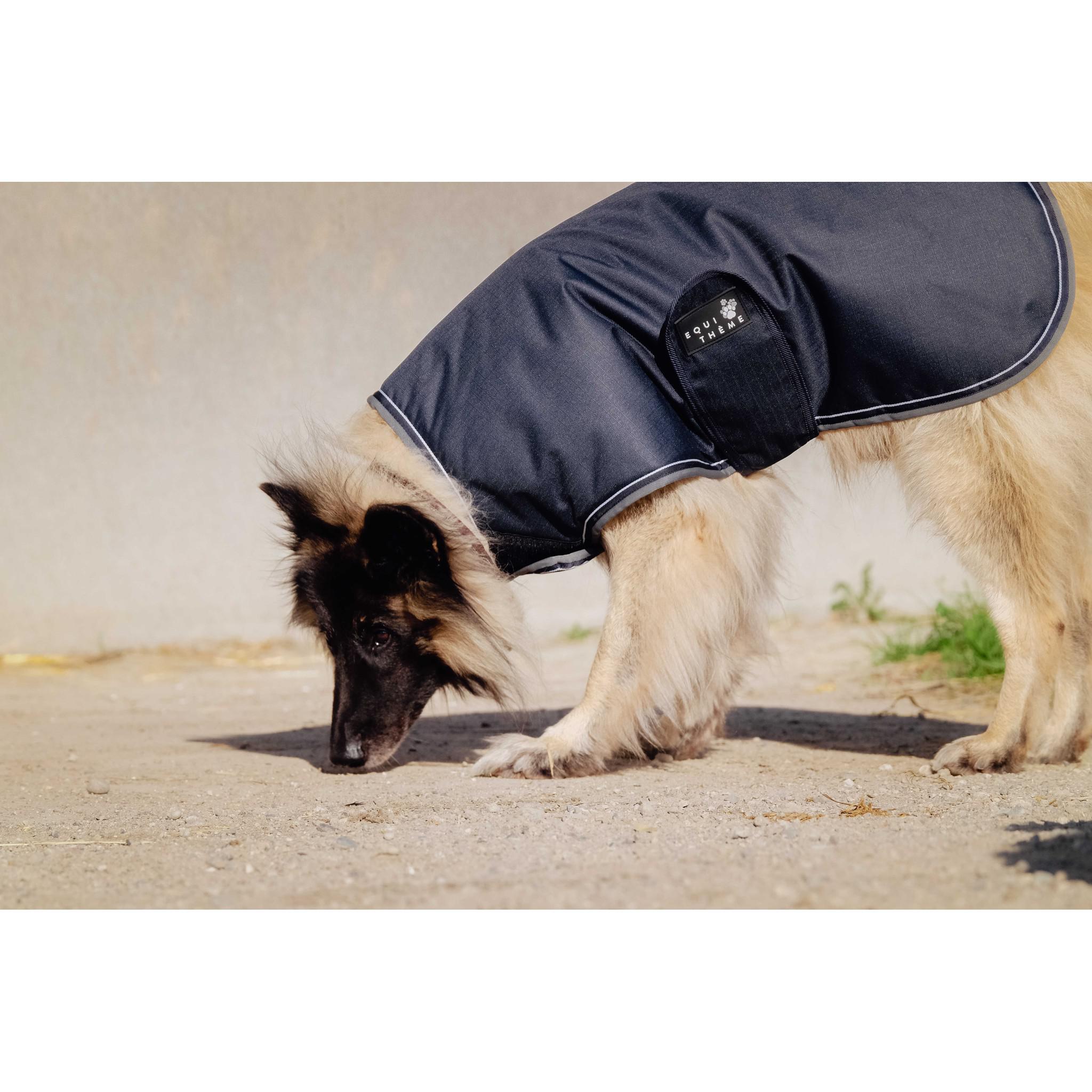 EQUITHÈME Tyrex 600D Dog Rug Blue/grey 409036260