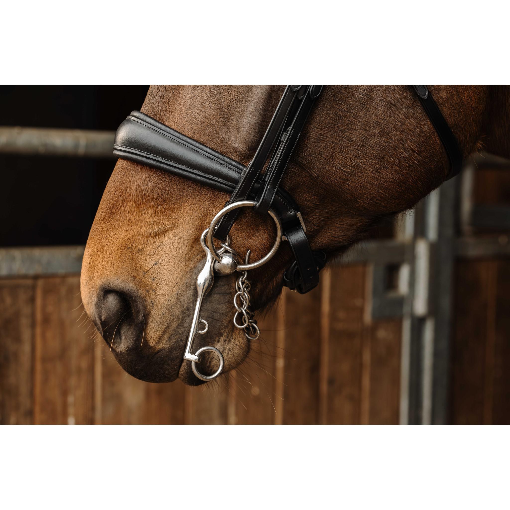 Norton Basal Bridle Black 303036302