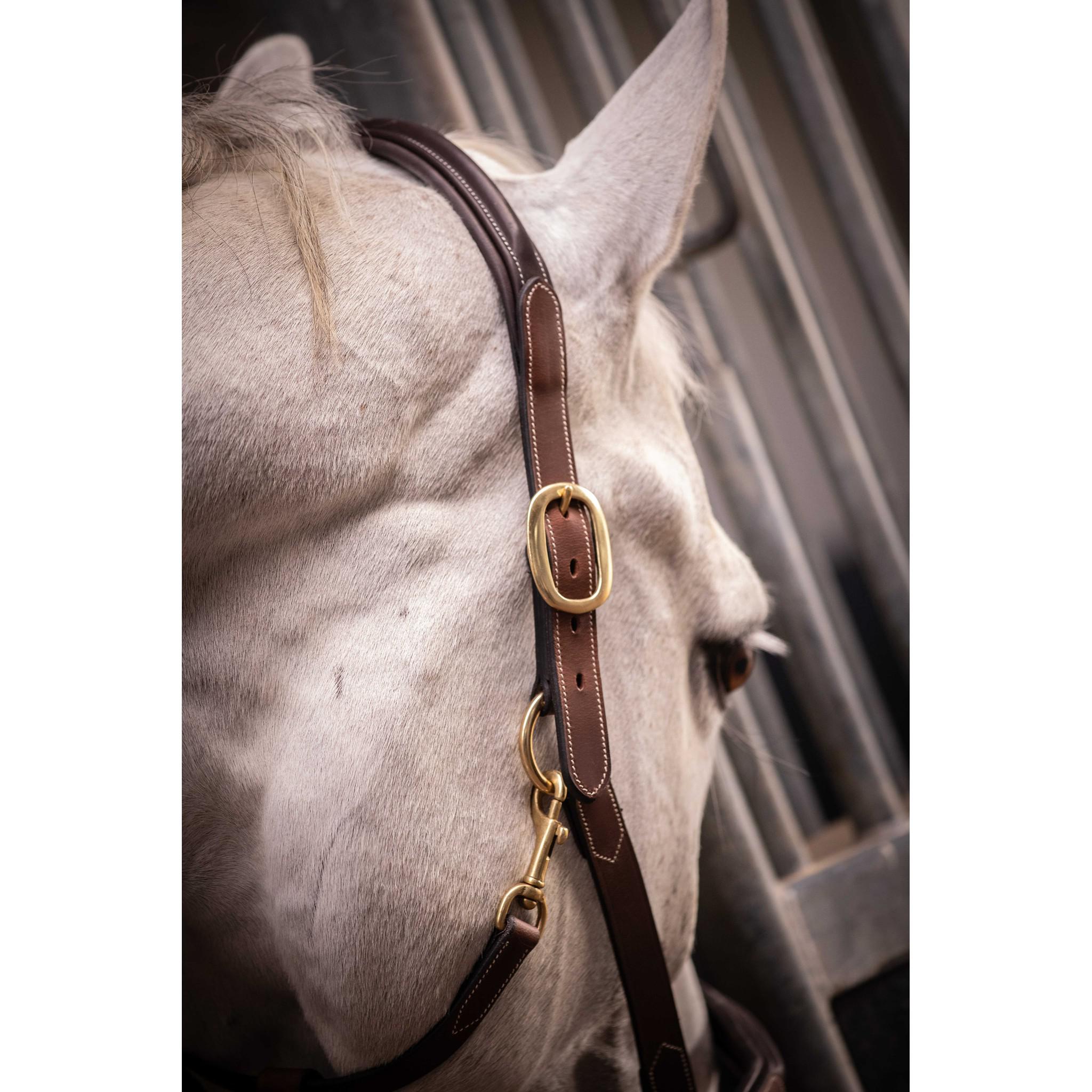 Paddock Sports 3-Snap Halter Havana 301614304