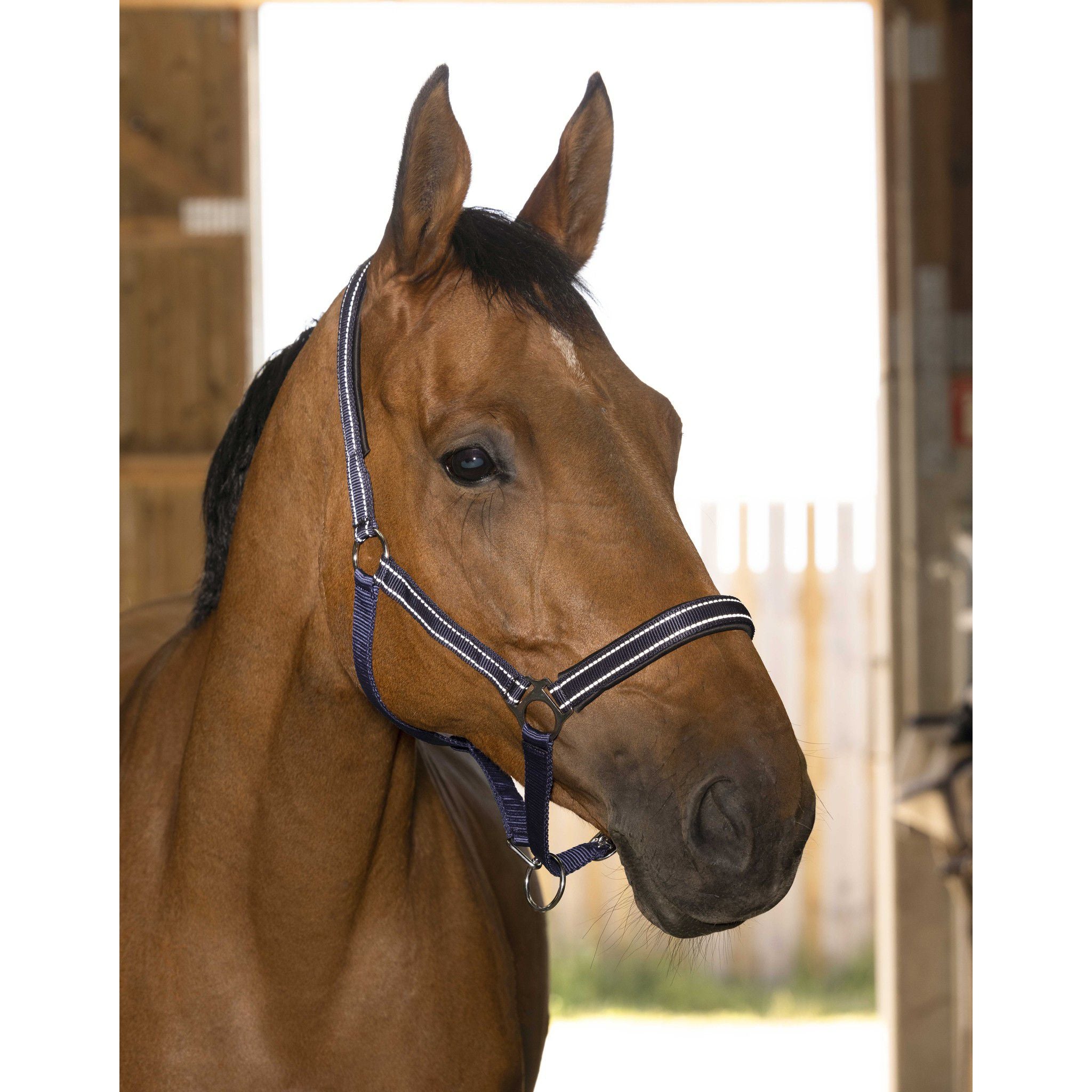 Norton Reflective halter Navy blue 510630307