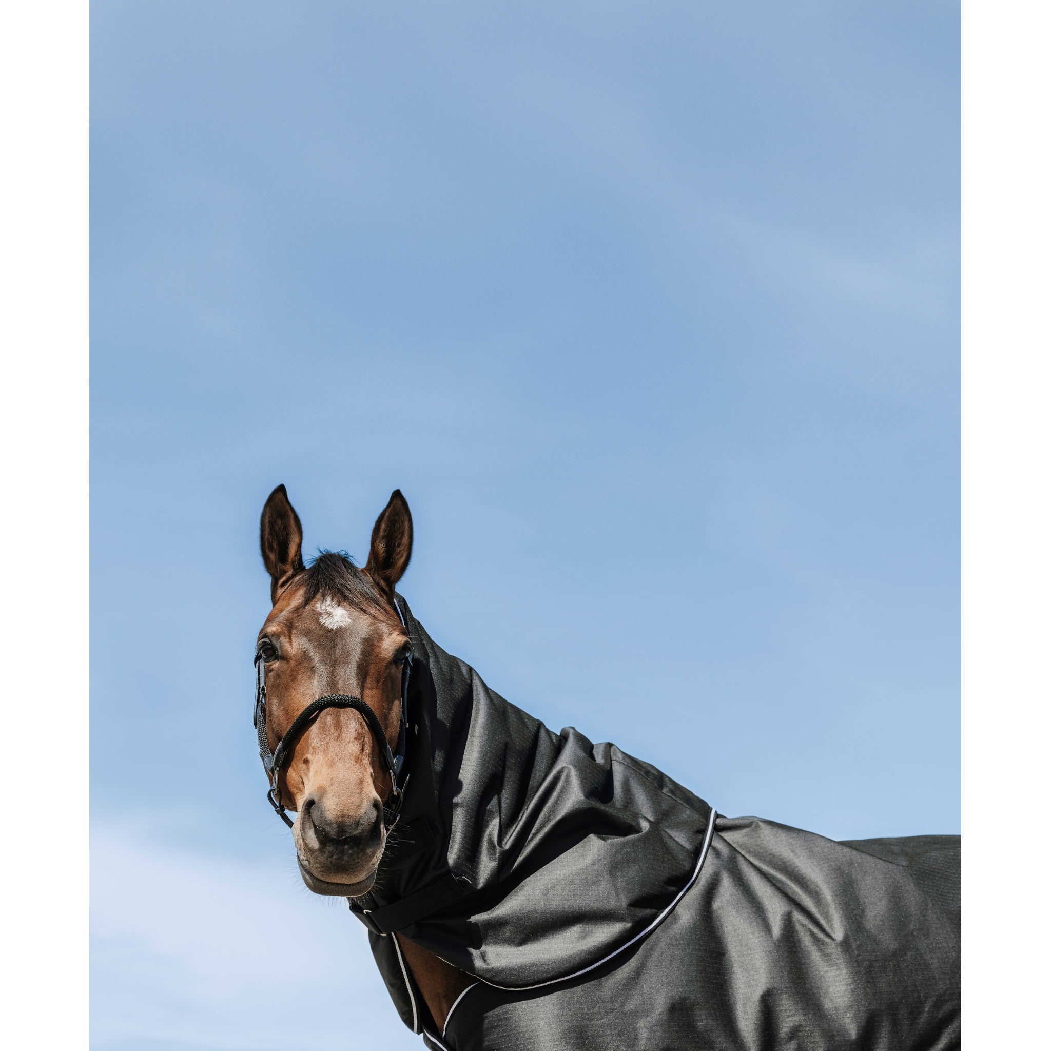 EQUITHÈME 600D Neck cover Black 400557233