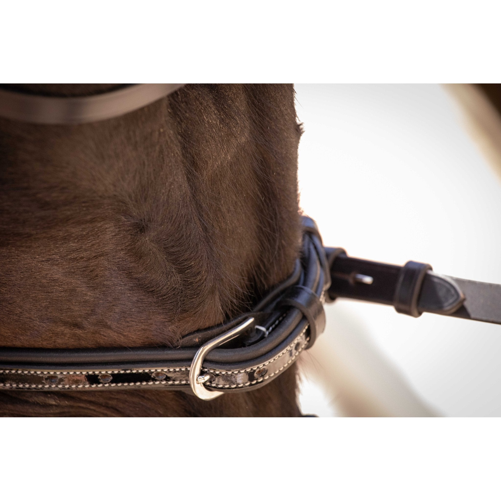 Penelope Smoothie Pearl Bridle Black - 301604302_ambi_11