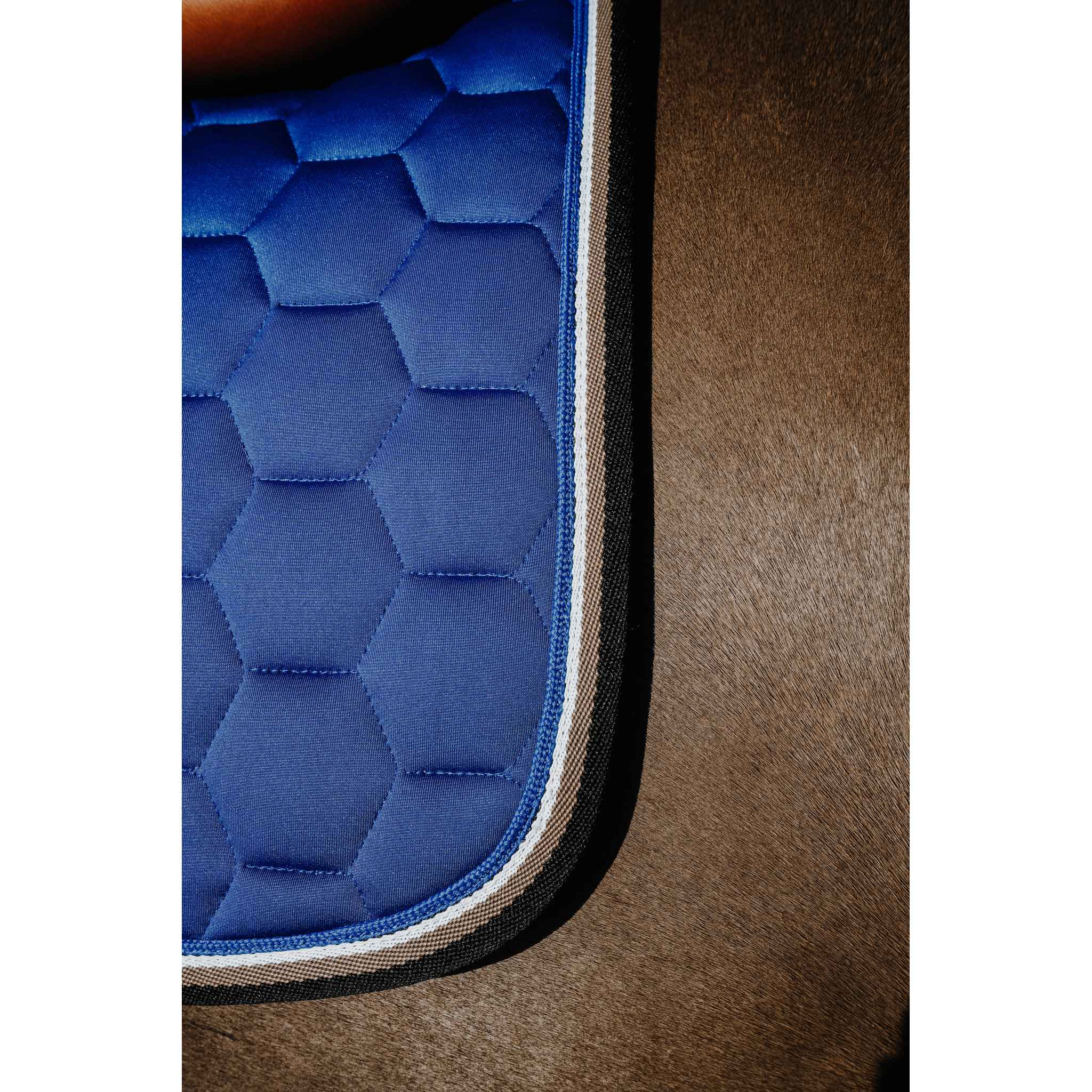 EQUITHÈME All-Purpose Saddle Pad - Coco Royal blue - 204913006_ambi_4