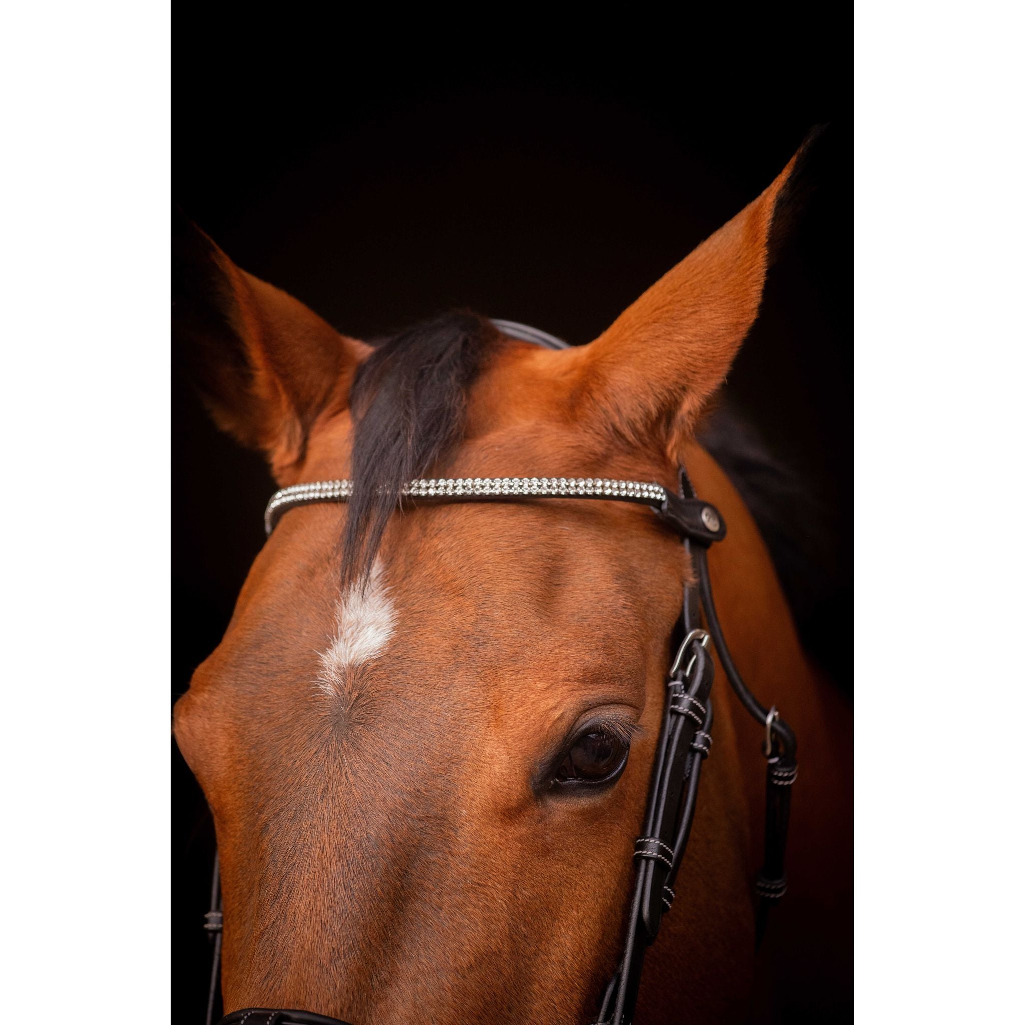 PENELOPE "Eloria" Strass Browband Black - 304401302_ambi_2