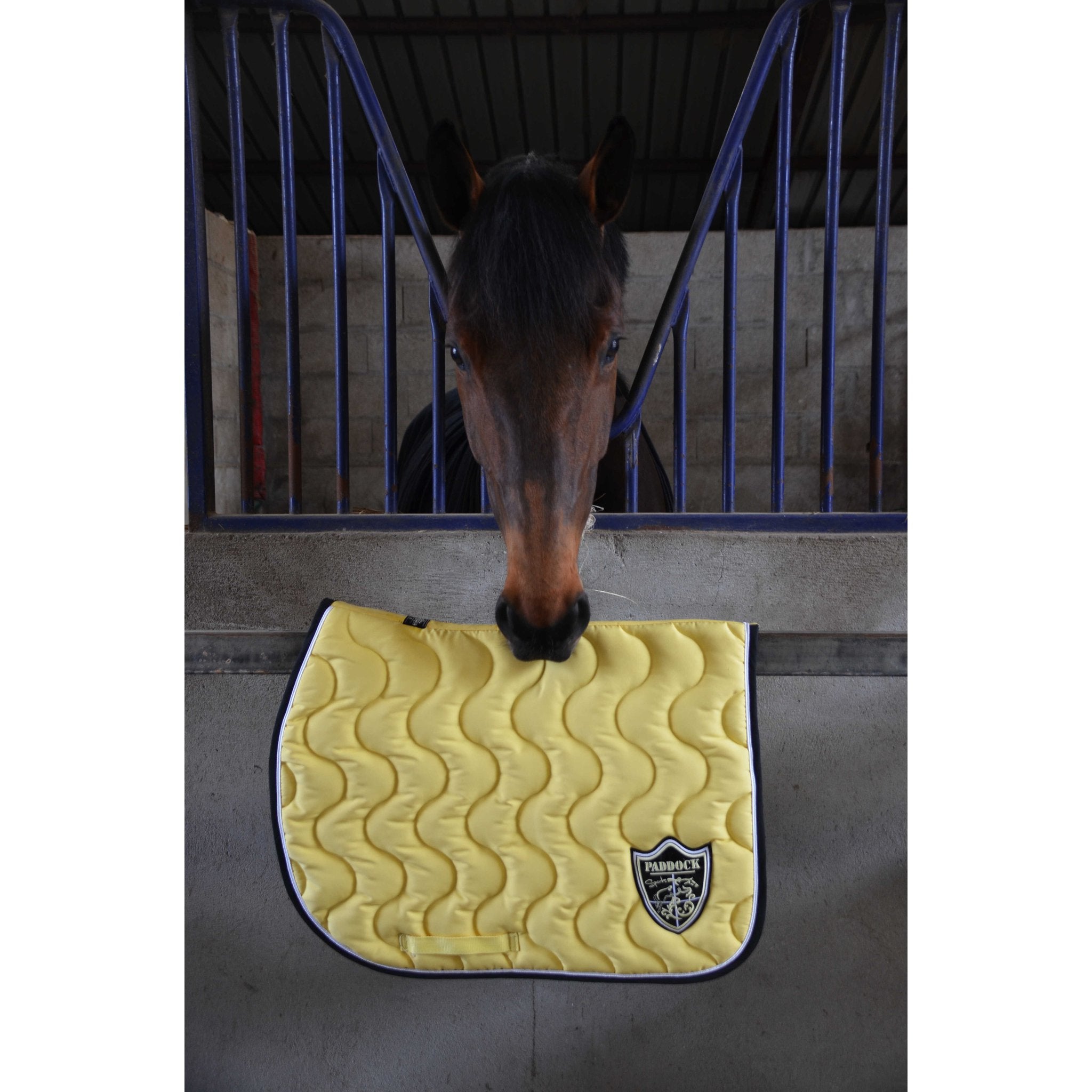 Paddock Sports Origin Saddle Pad with Crest - All-Purpose Yellow - 204742010_ambi_2