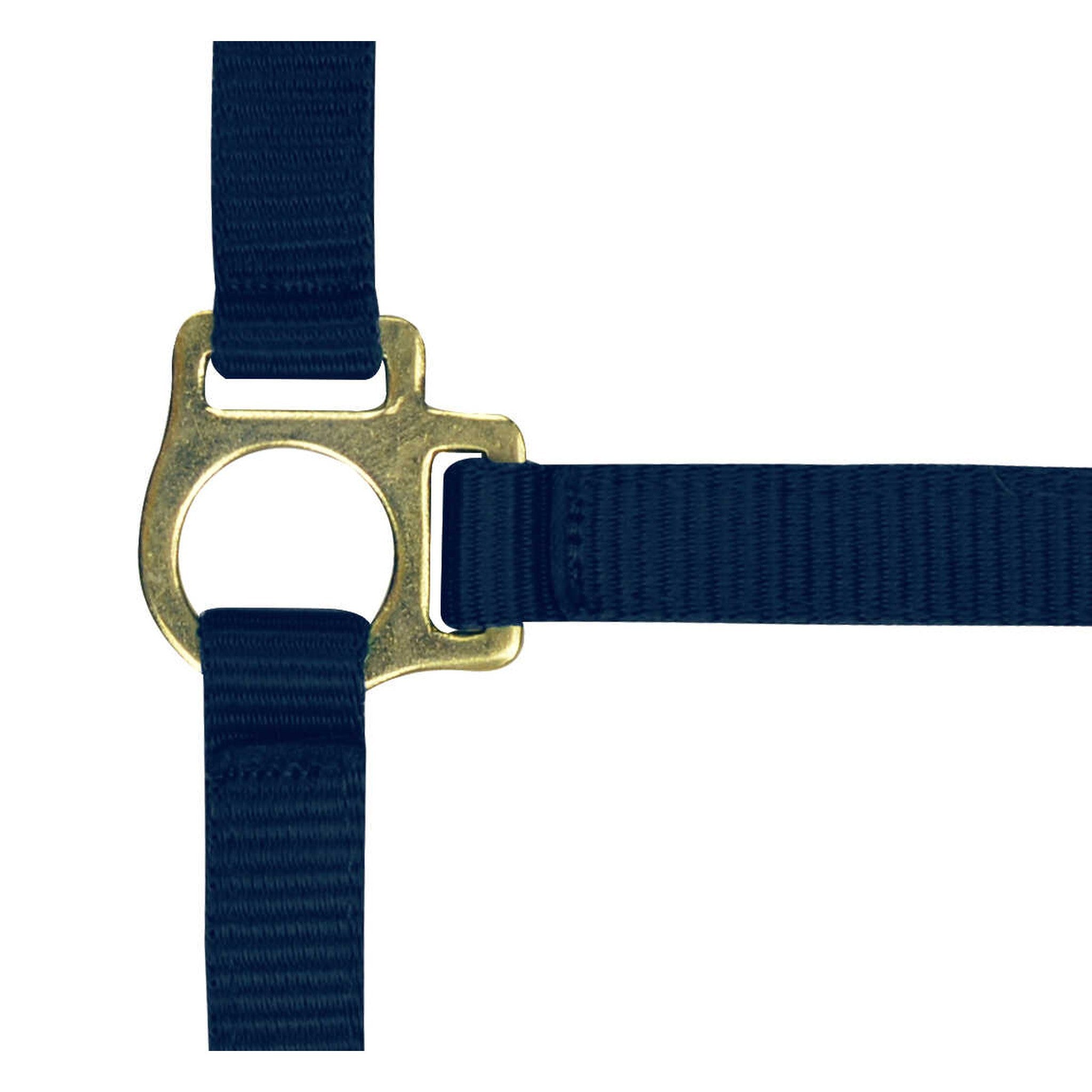 Norton Nylon halter foal Navy blue 510038007