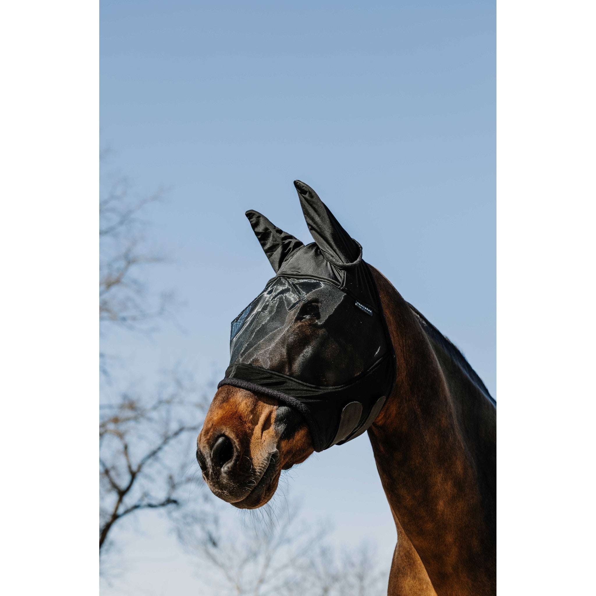 EQUITHÈME Soft UV Protection Fly Mask Black 306030203