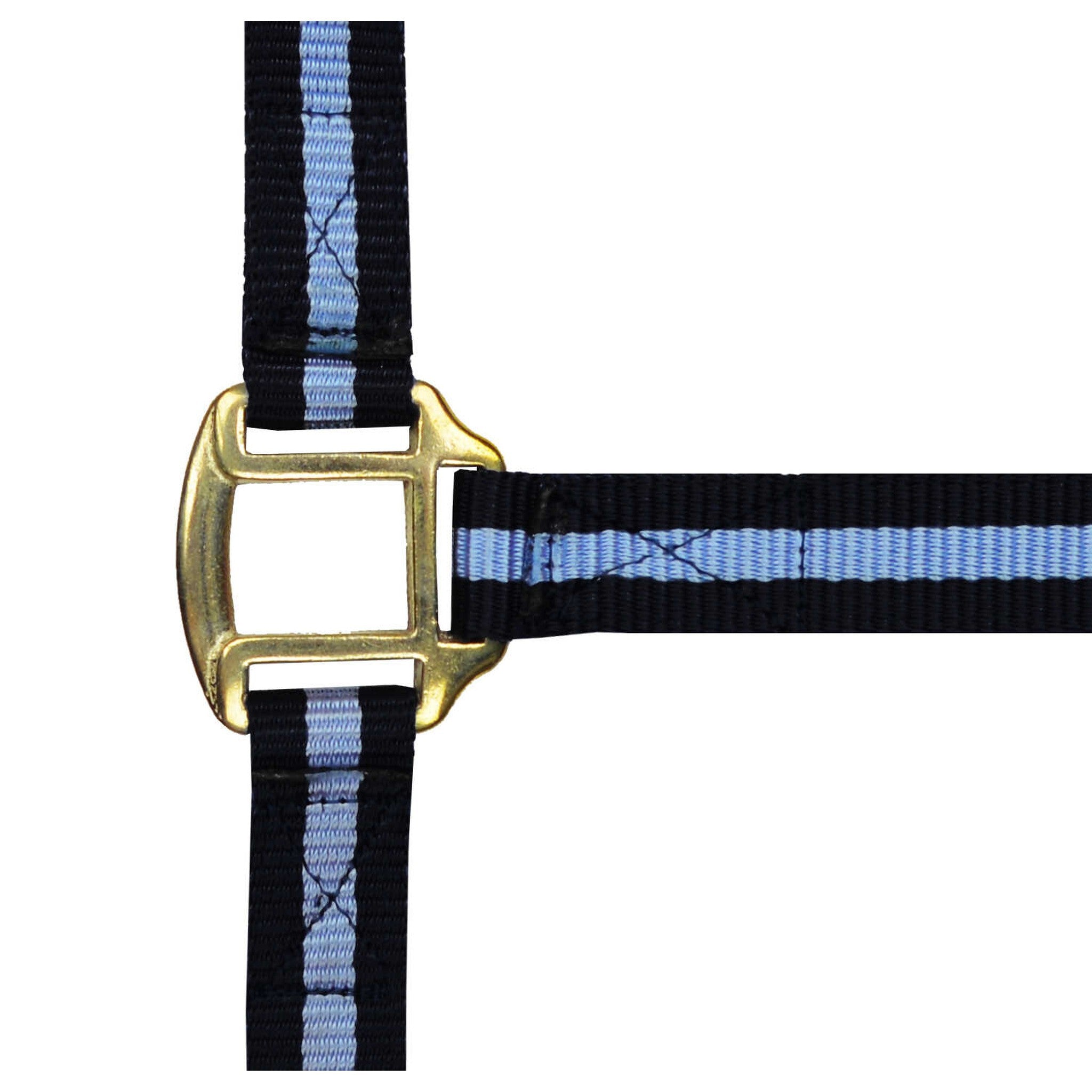 Norton Leather lined nylon headcollar Black/sky blue 510185212