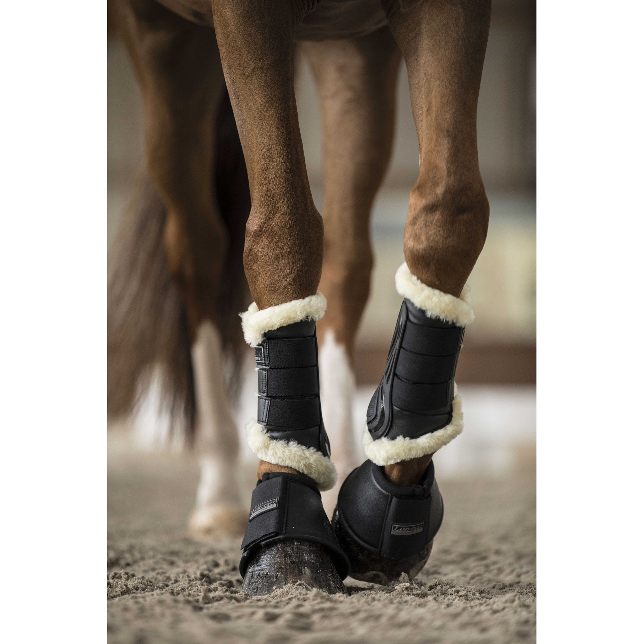 Lami-Cell Comfort Closed Tendon Boots Black 550123202