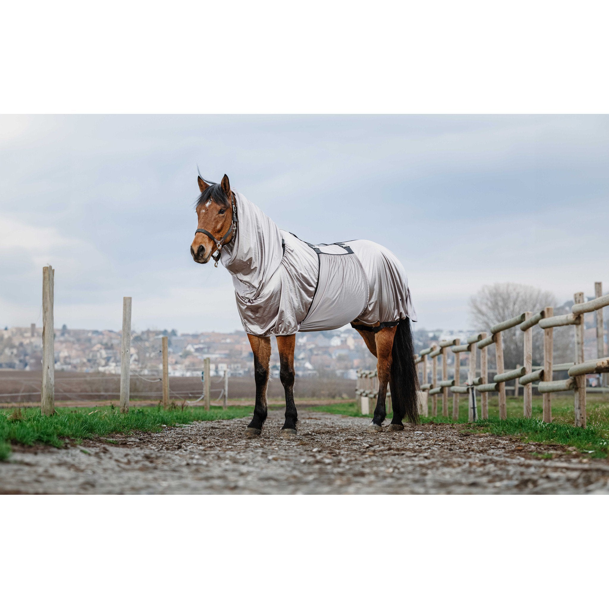Riding World Anti-Eczema Sheet Grey 400707059