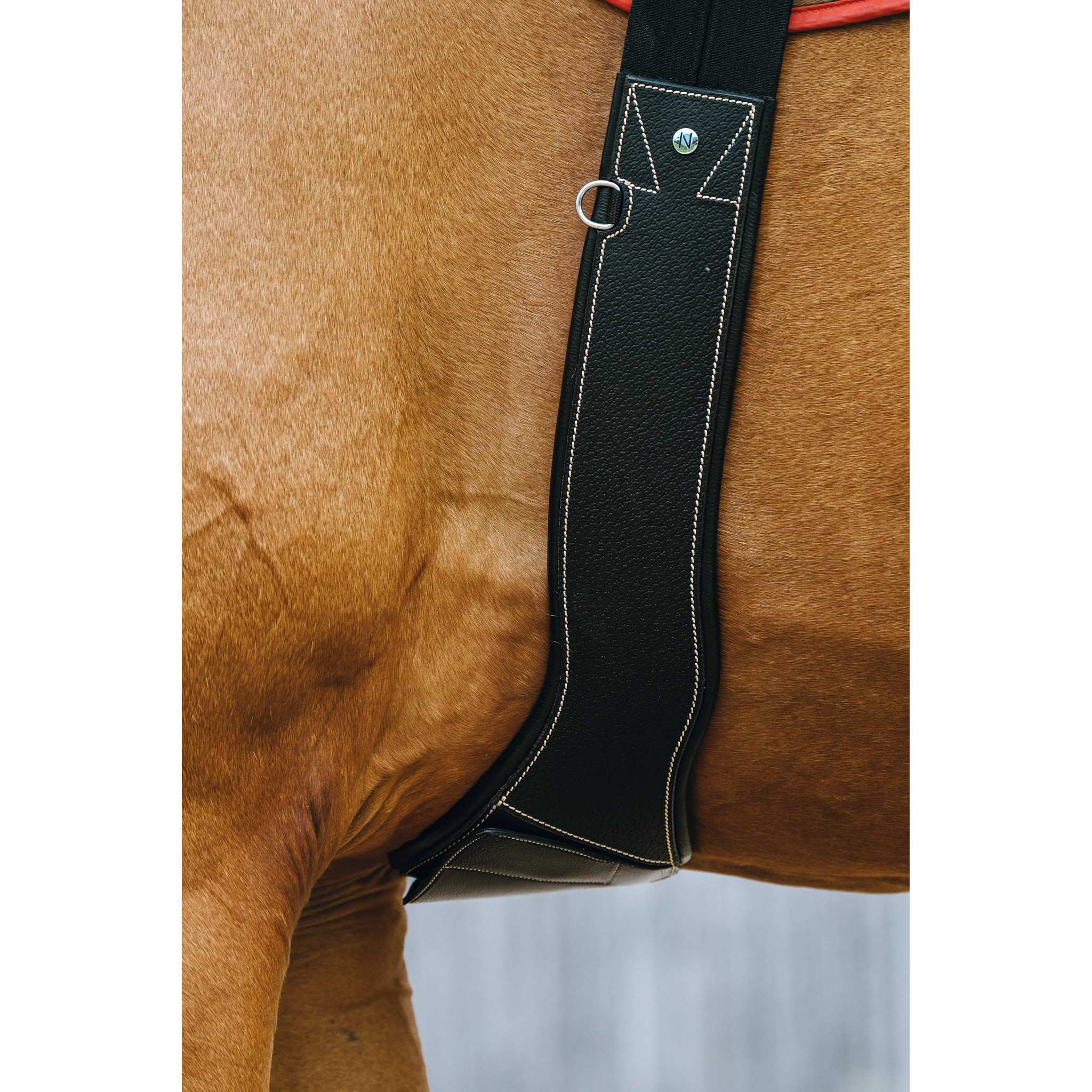 Norton Magnet Anatomical Girth Black 203147215