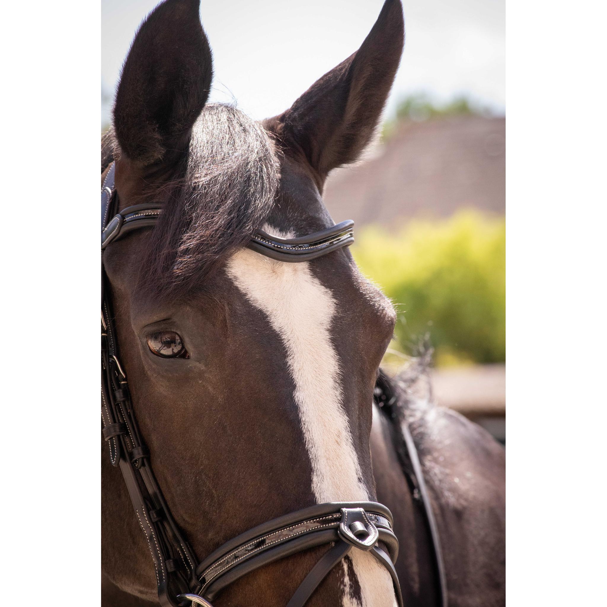 Penelope Smoothie Pearl Bridle Black - 301604302_ambi_9