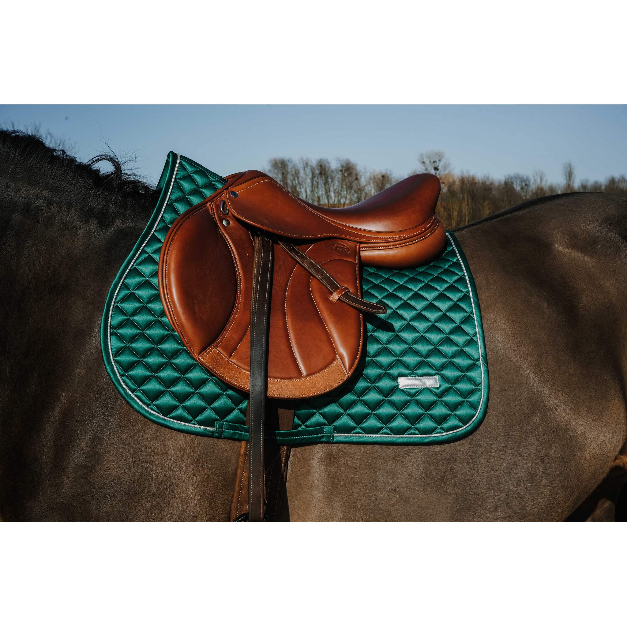 EQUITHÈME All-Purpose Saddle Pad - Mother of Pearl Dark green - 204029009_ambi_1
