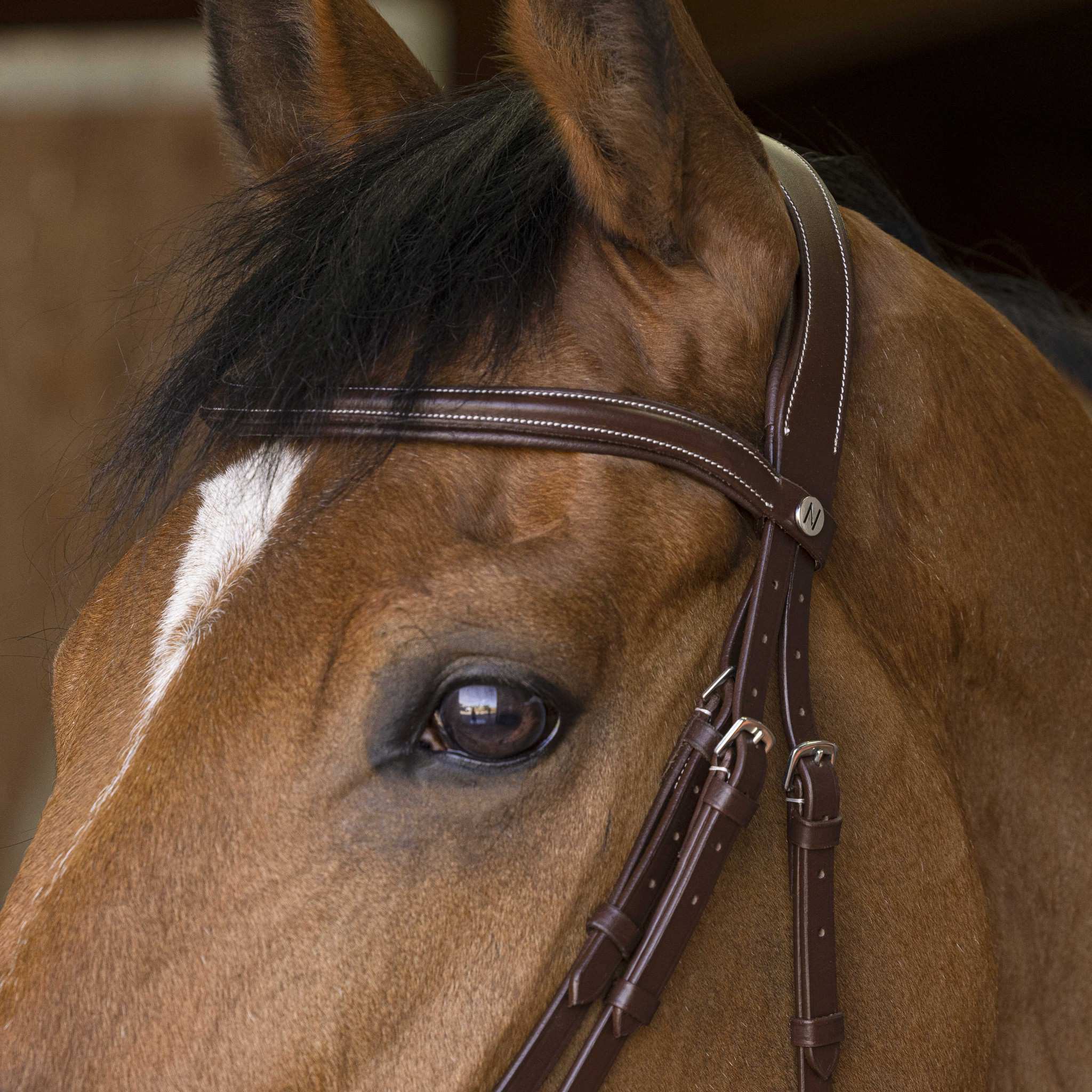 Norton Pro Rock Bridle Havana 301892318