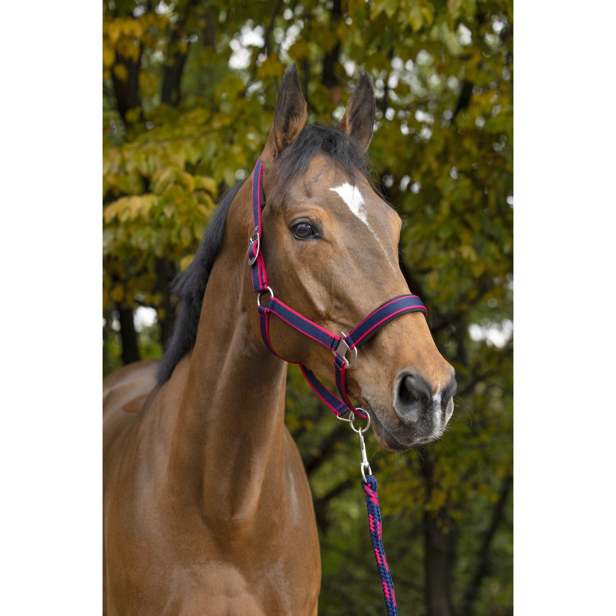 EQUITHÈME Satin Halter + Lead Rope Navy/fuchsia 510605732