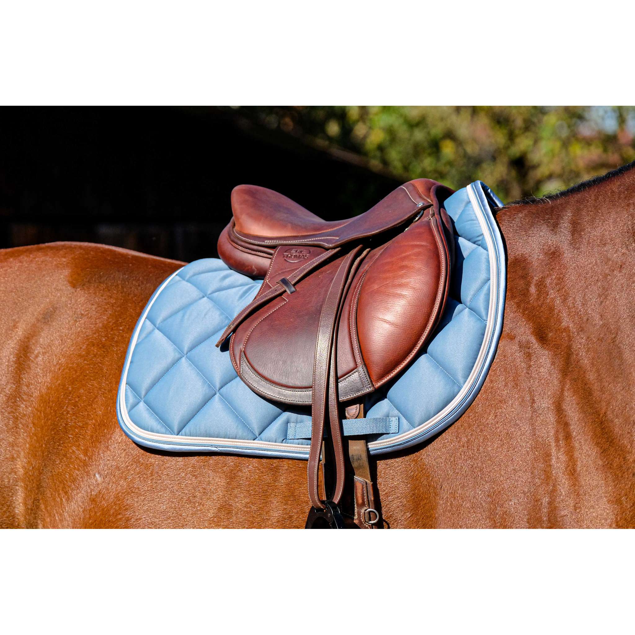 EQUITHÈME Classic All-Purpose Saddle Pad Peacock blue - 204773040_ambi_1