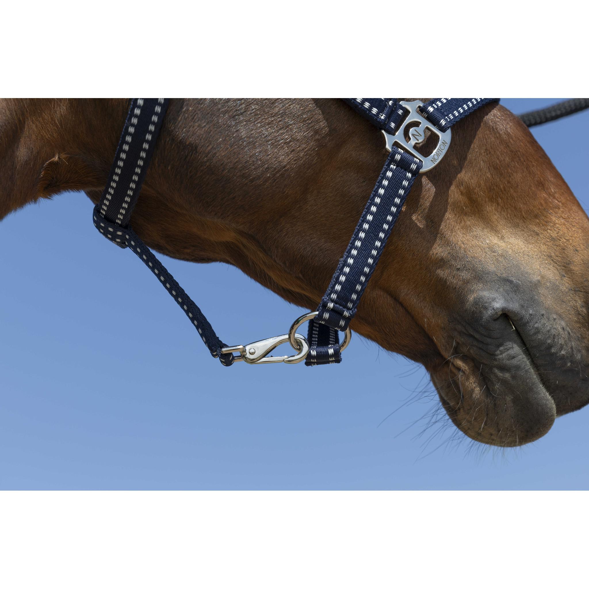 Norton Grooming Halter Navy blue 510245307