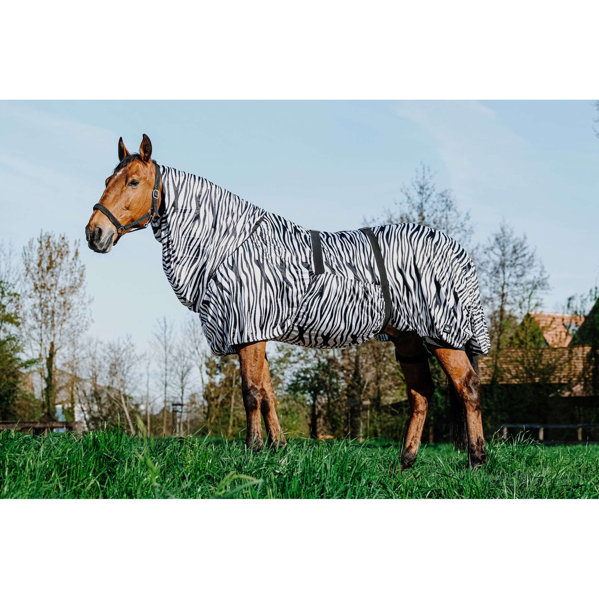 Riding World Anti-Eczema zebra Sheet Zebra 400708050