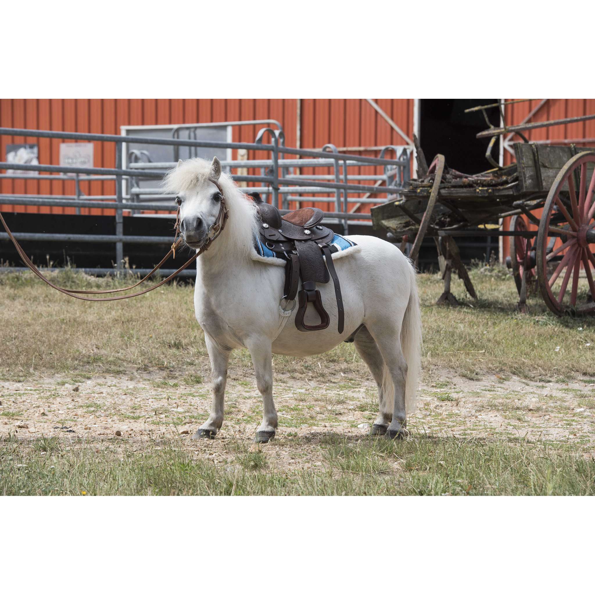 Westride Topeka Western Saddle Havana - 800076_ambi_2