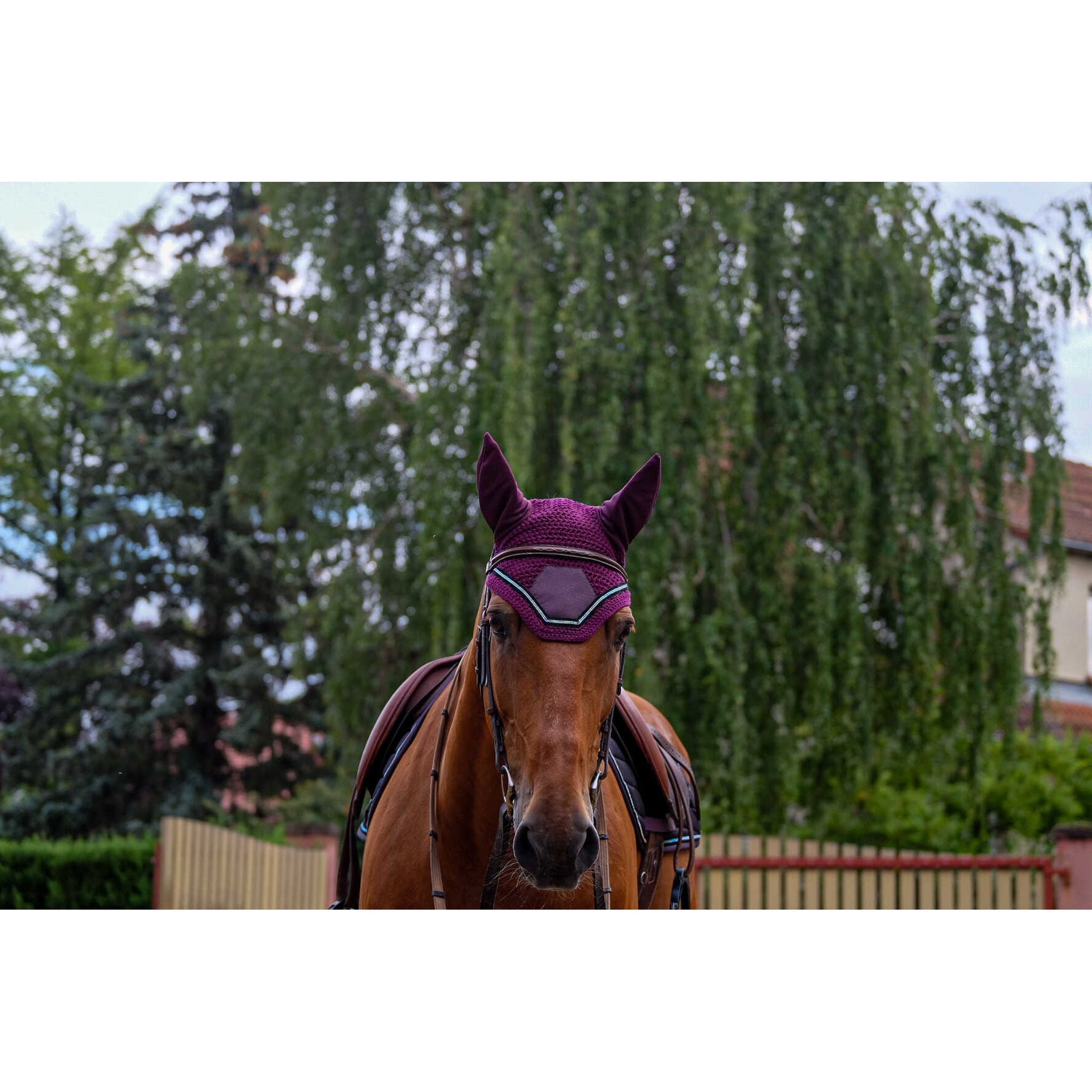 EQUITHÈME Domino Fly Veil Purple - 306975015_ambi_1