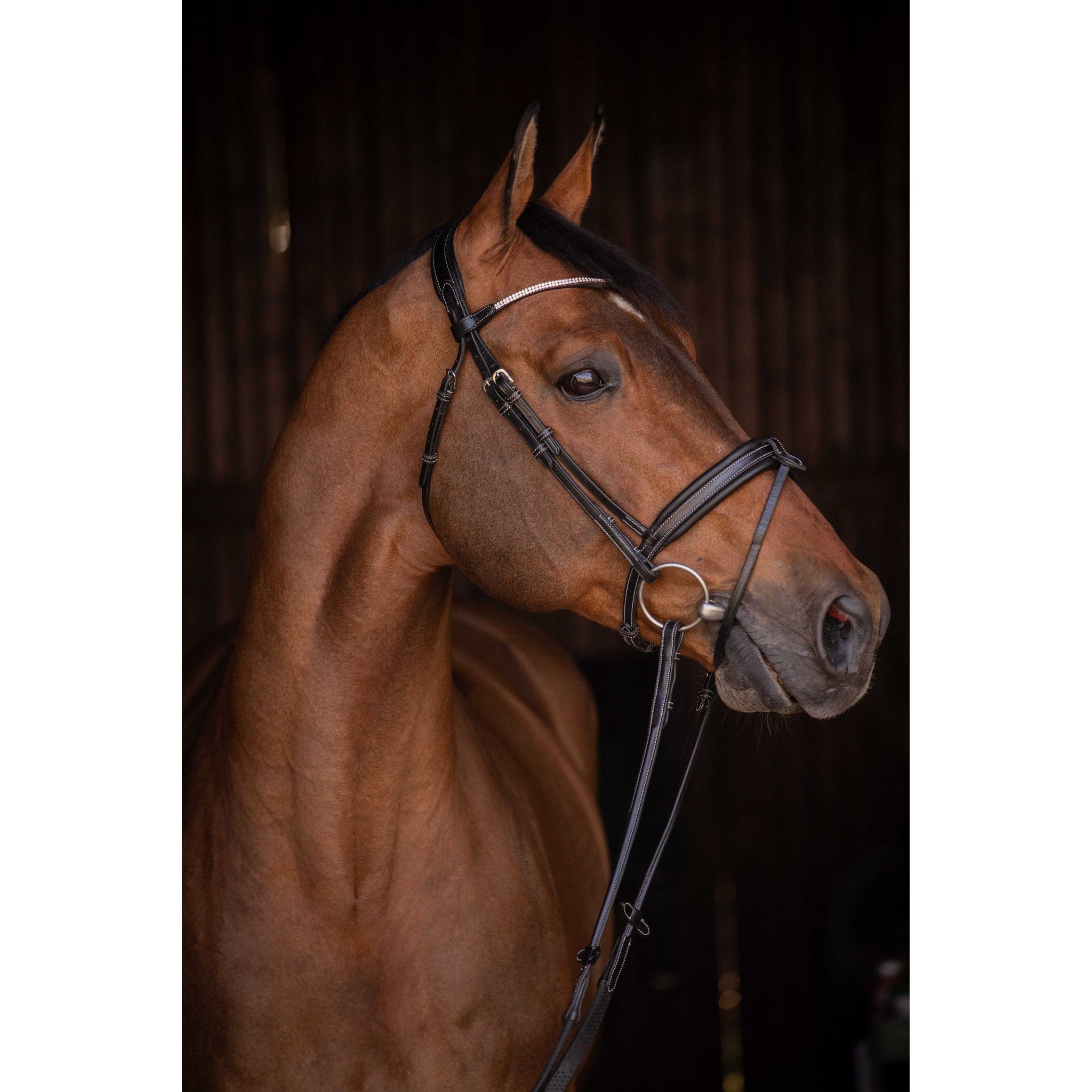 Pénélope Daily Strass Bridle Black 301613302