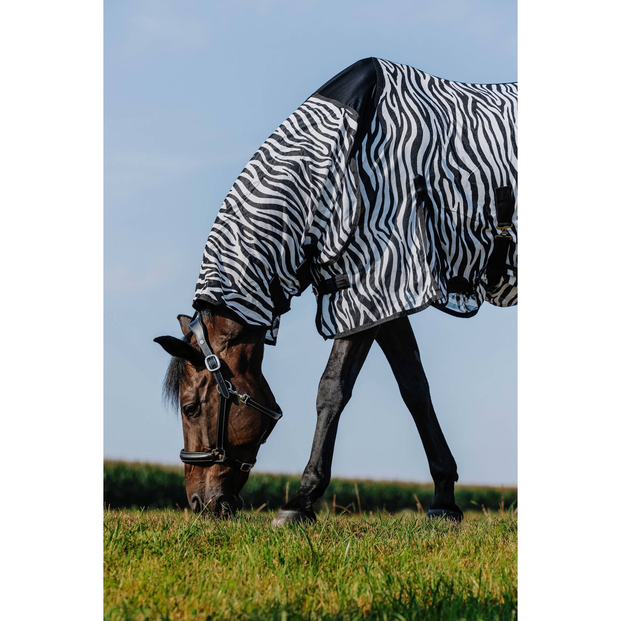 Riding World Belly Mesh Sheet - Combo Zebra 400726063