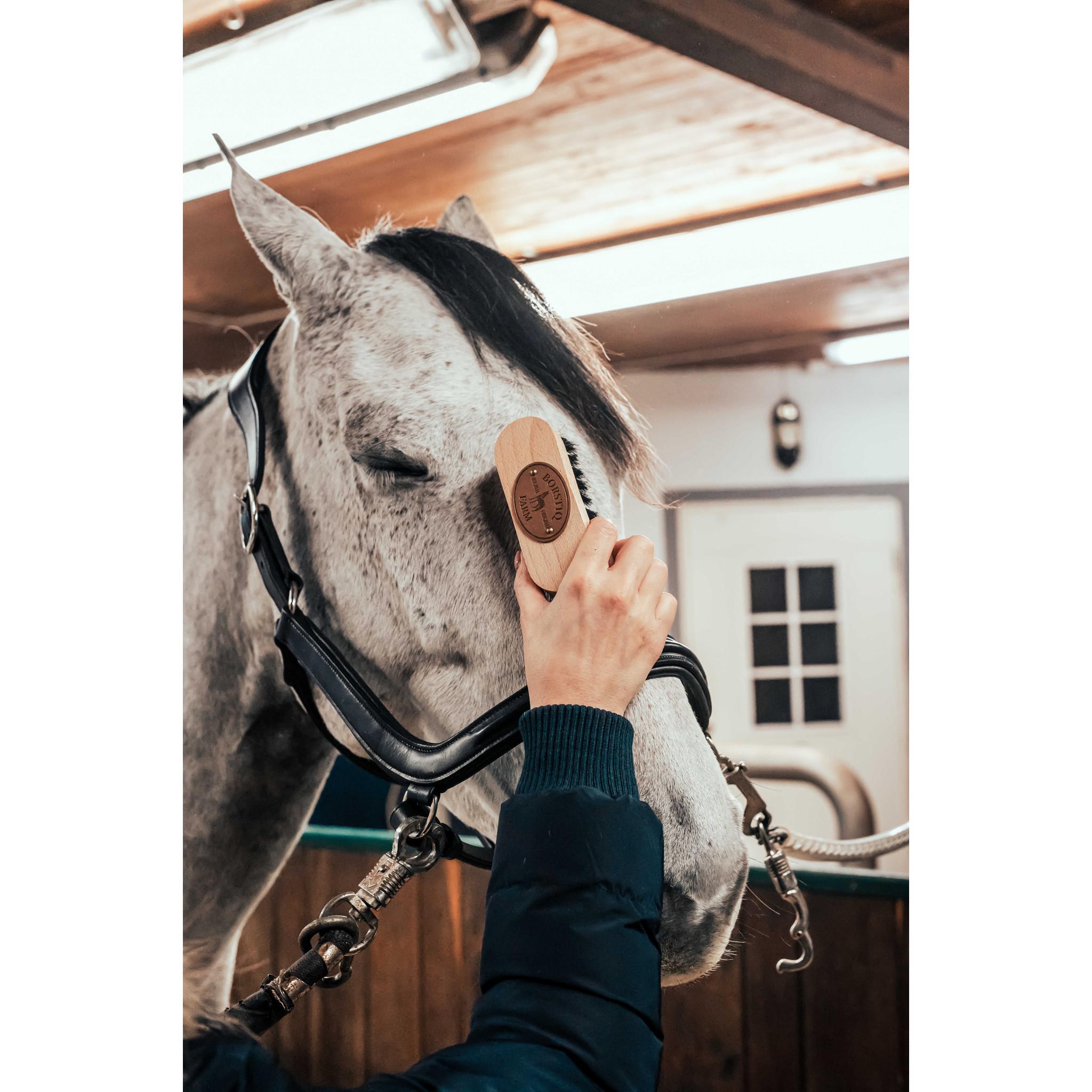 Borstiq Brush head Wood 311008