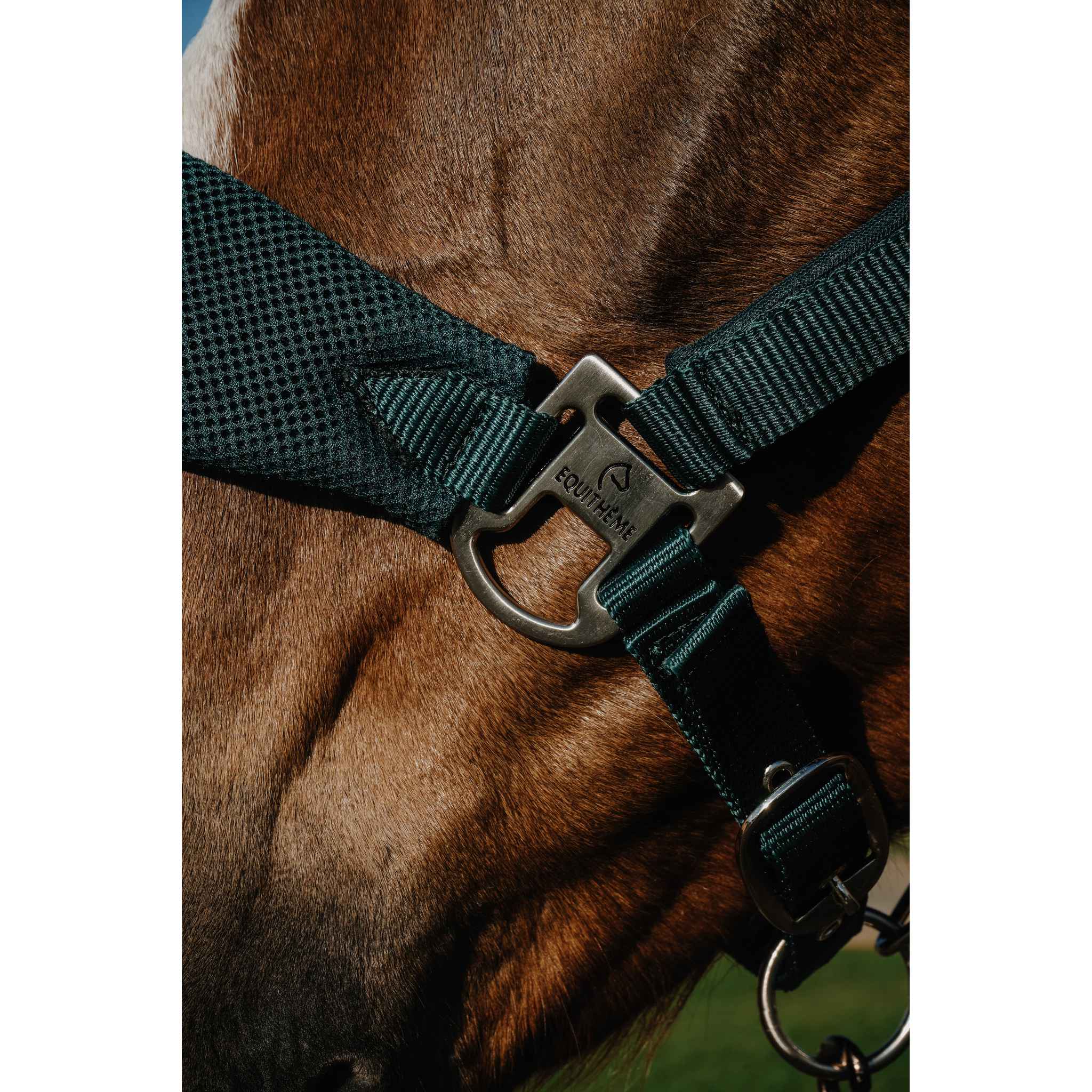 EQUITHÈME BREEZE Halter Dark green - 510294309_ambi_2