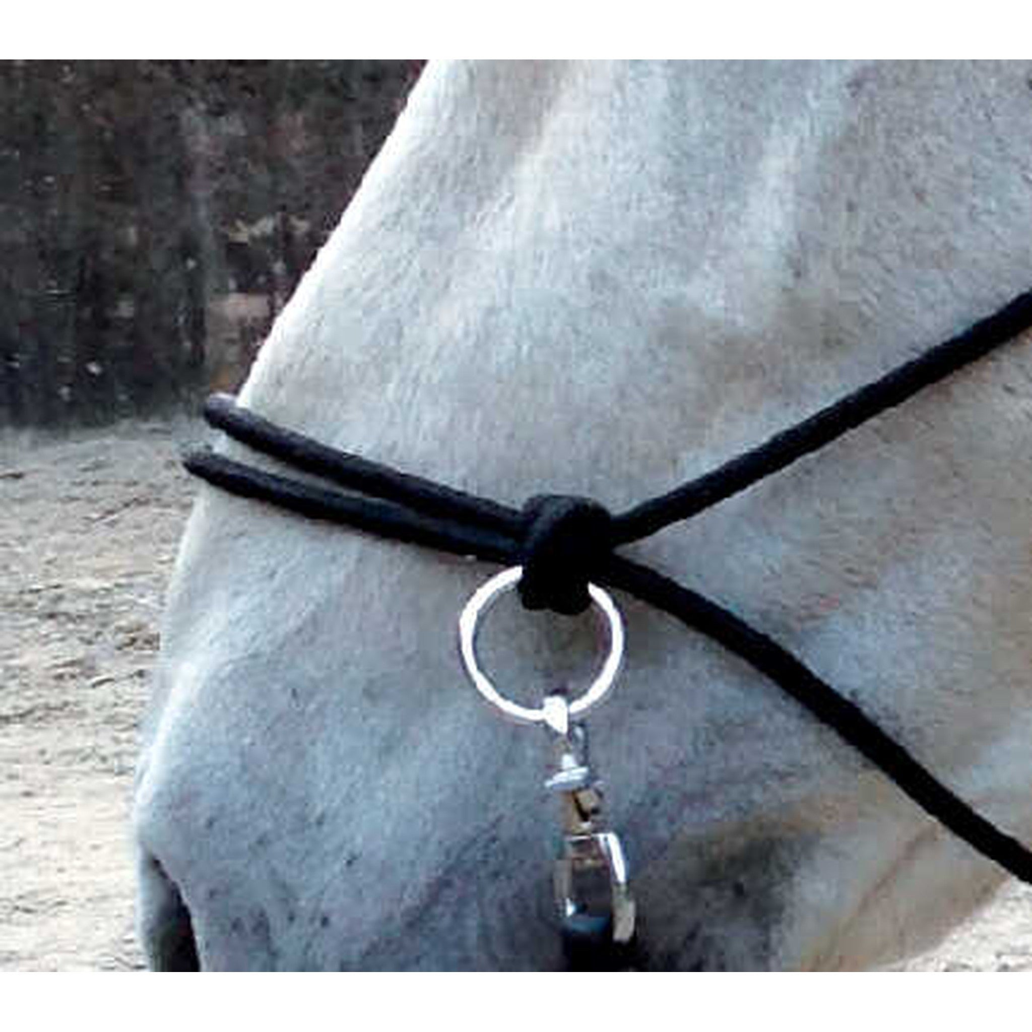 Norton Ethological halter with reins Black 510155002