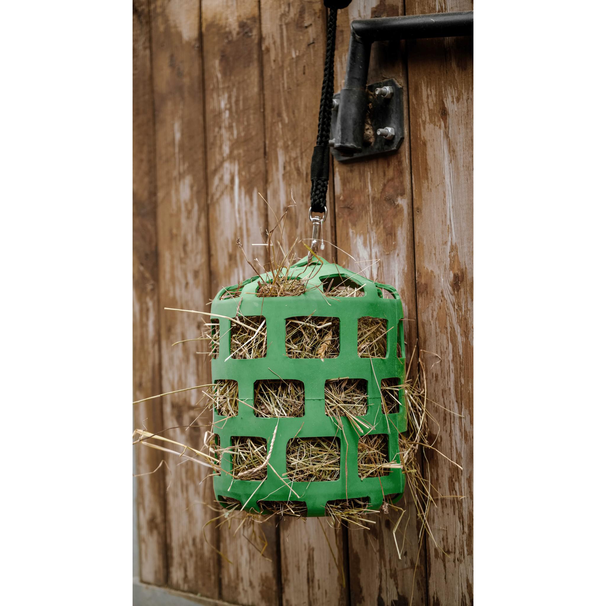 Hippo-Tonic Feeding Ball with Lead Rope Green 900120008