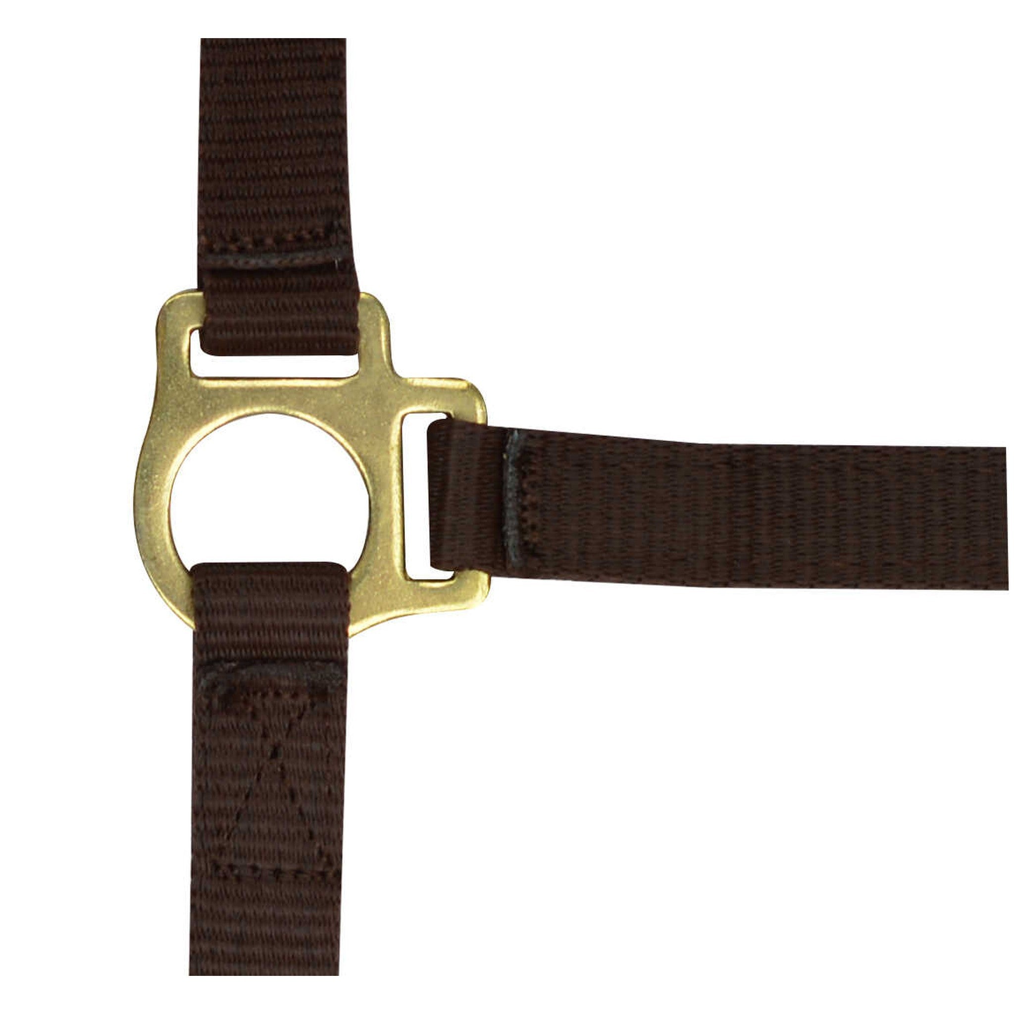 Norton Nylon halter foal Brown 510038004