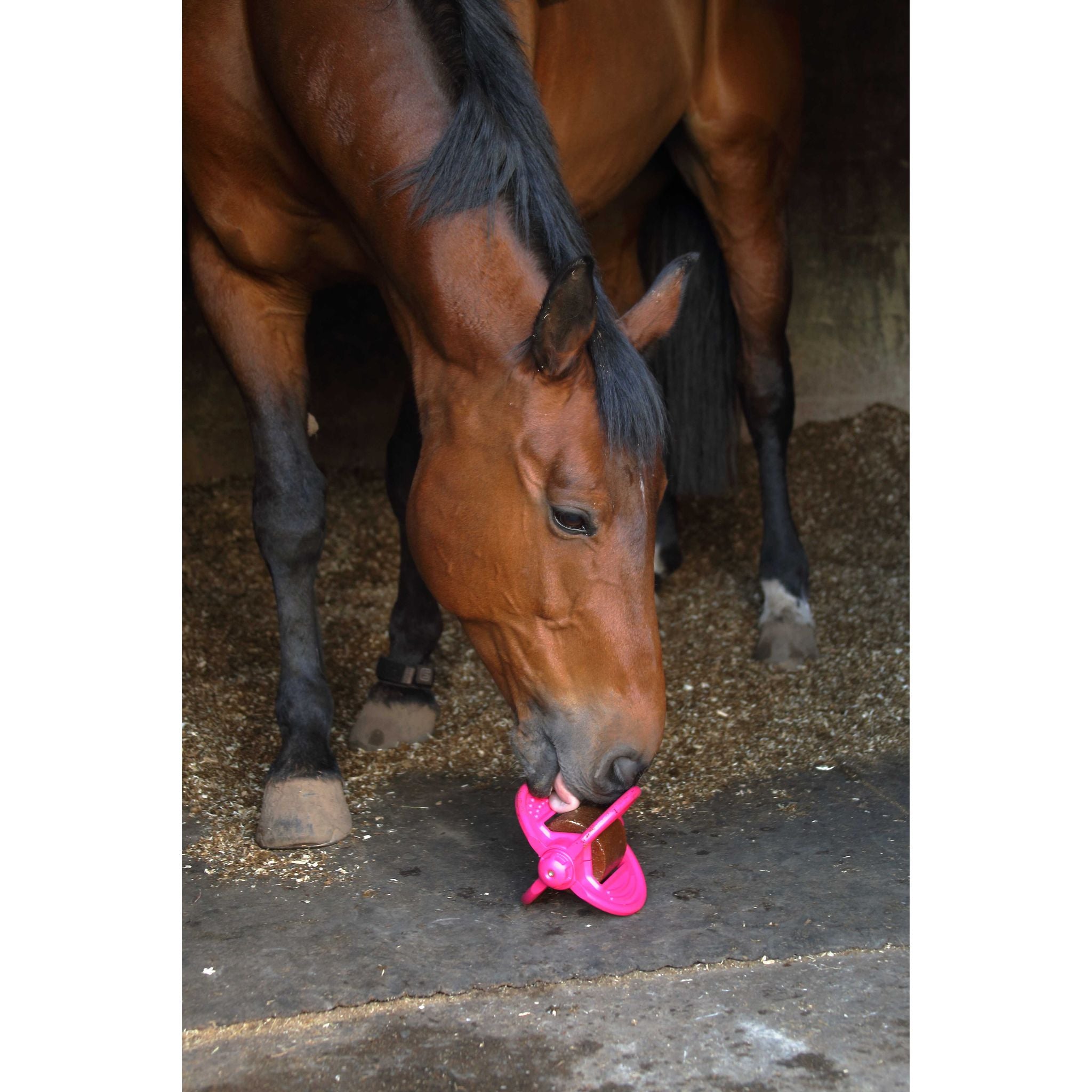 Bizzy Ball Holder Fuchsia - 380080052_ambi_3