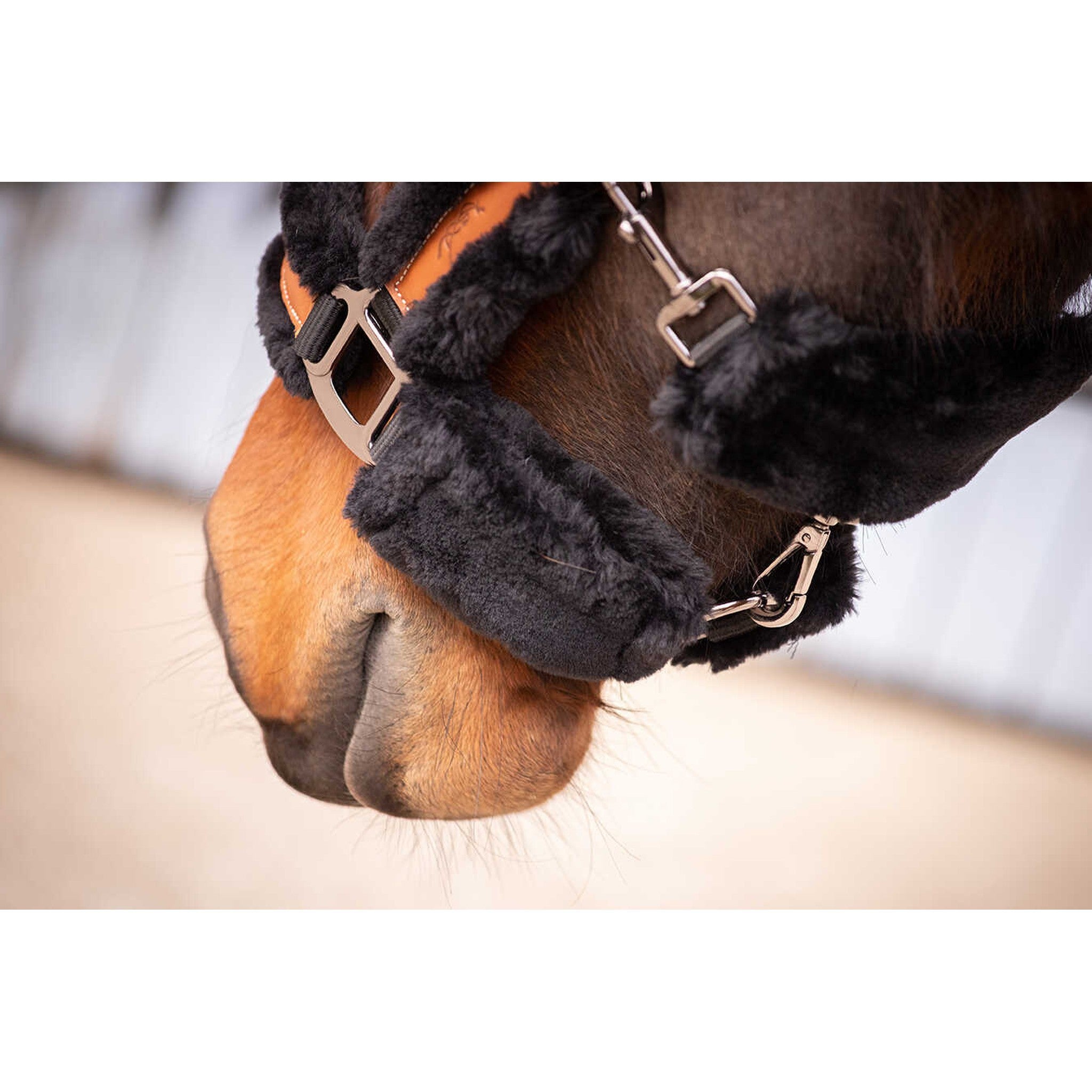 Pénélope Soft halter Black/ecru 510902025