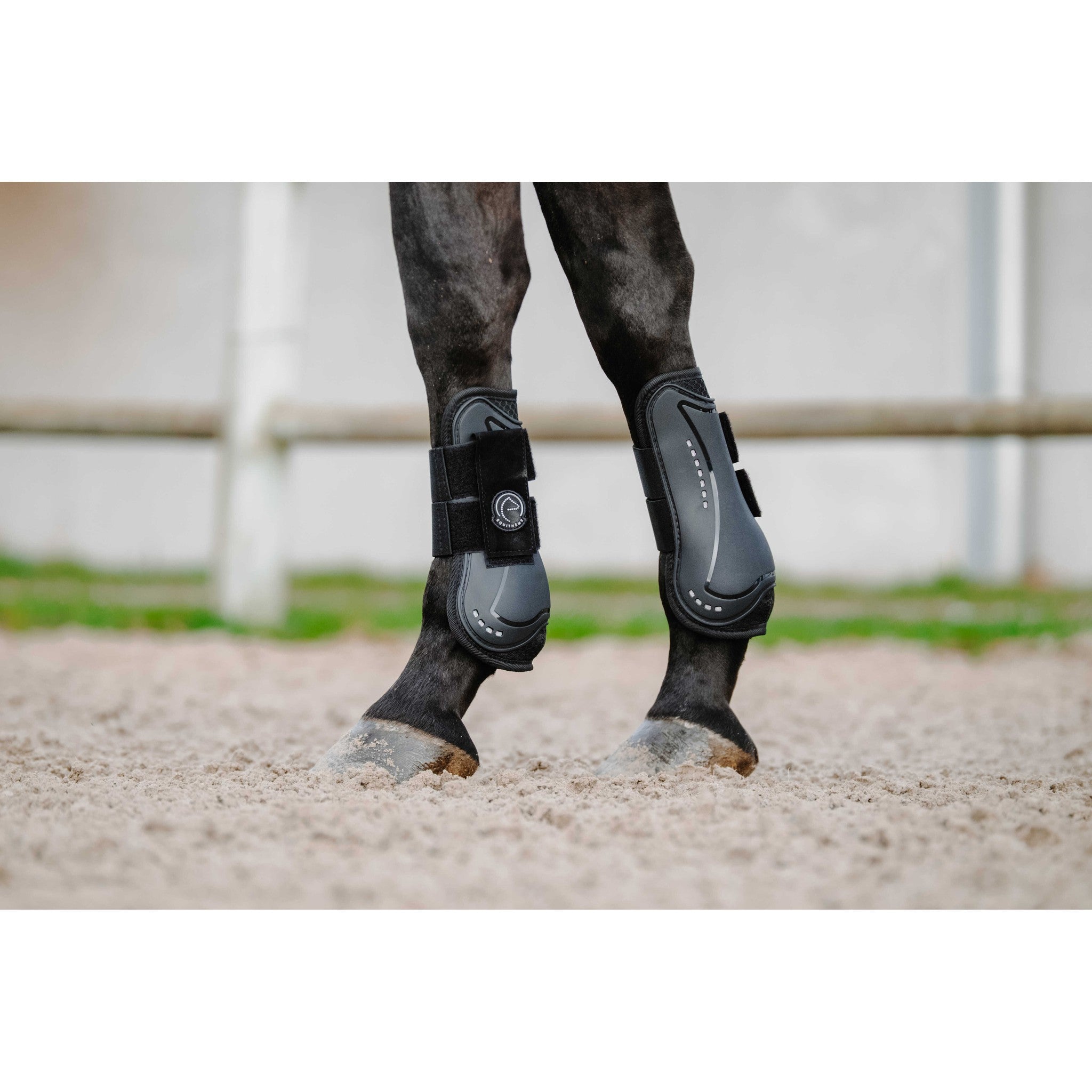 Je t'aime EQUITHÈME Fetlock + Tendon Boots Black 530820302