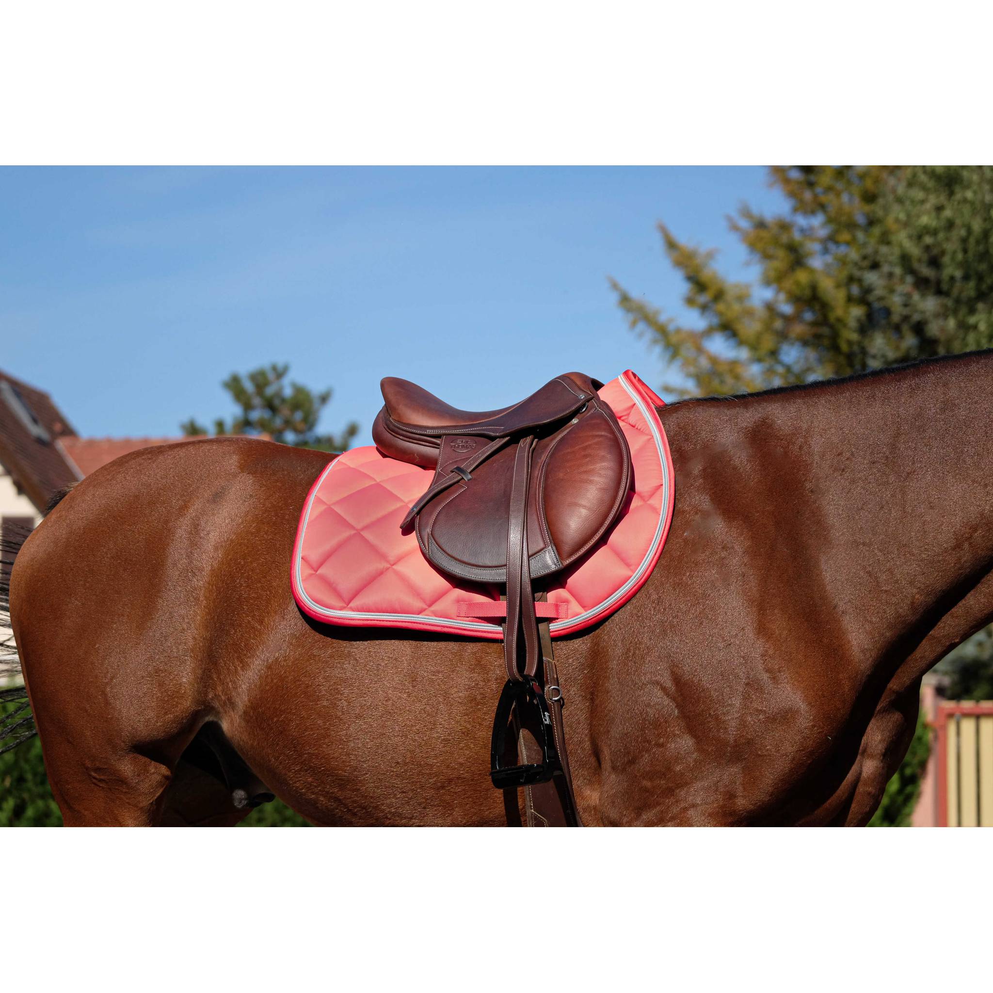 EQUITHÈME Classic All-Purpose Saddle Pad Antique pink - 204773013_ambi_1