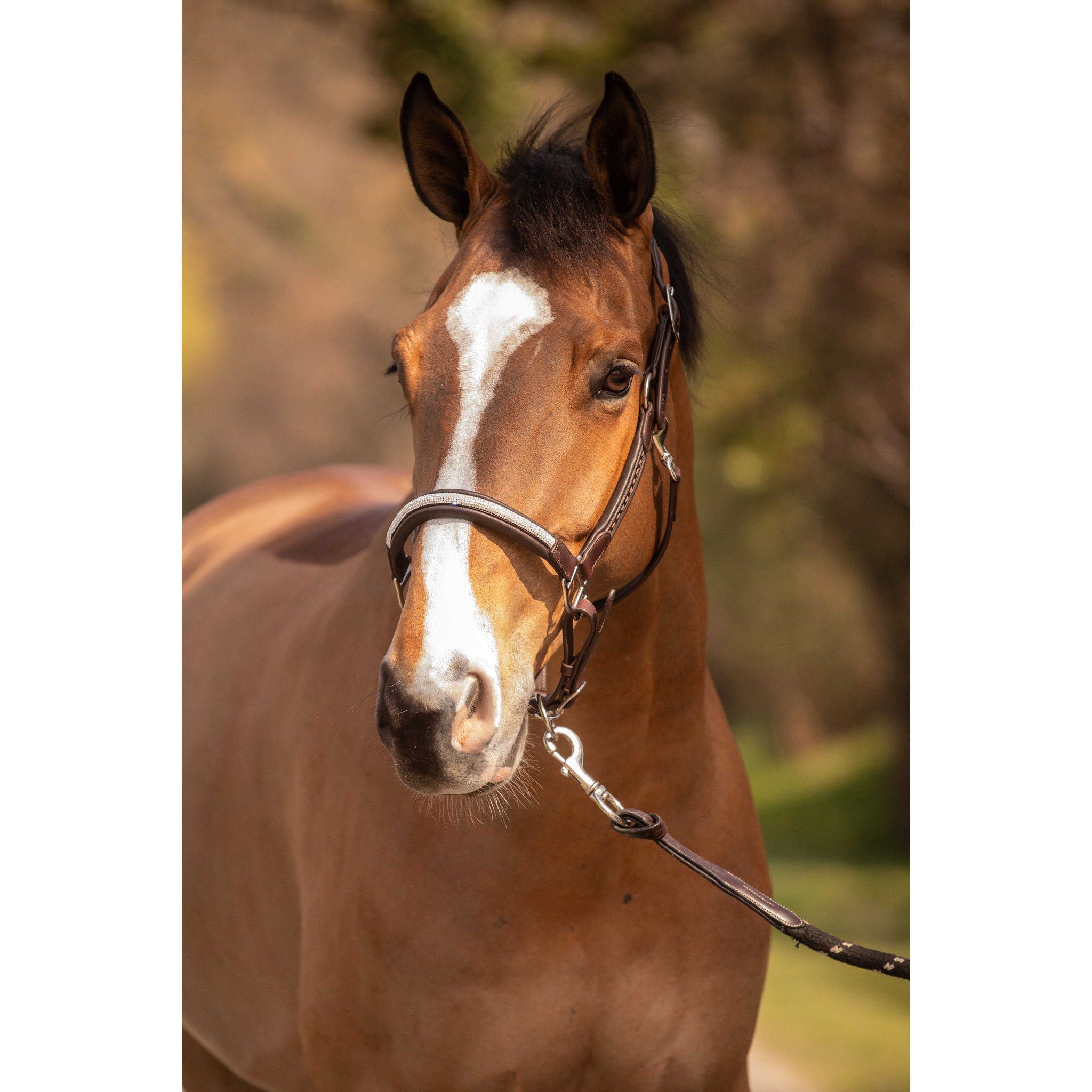 Pénélope Harmonie Halter Havana 301611318